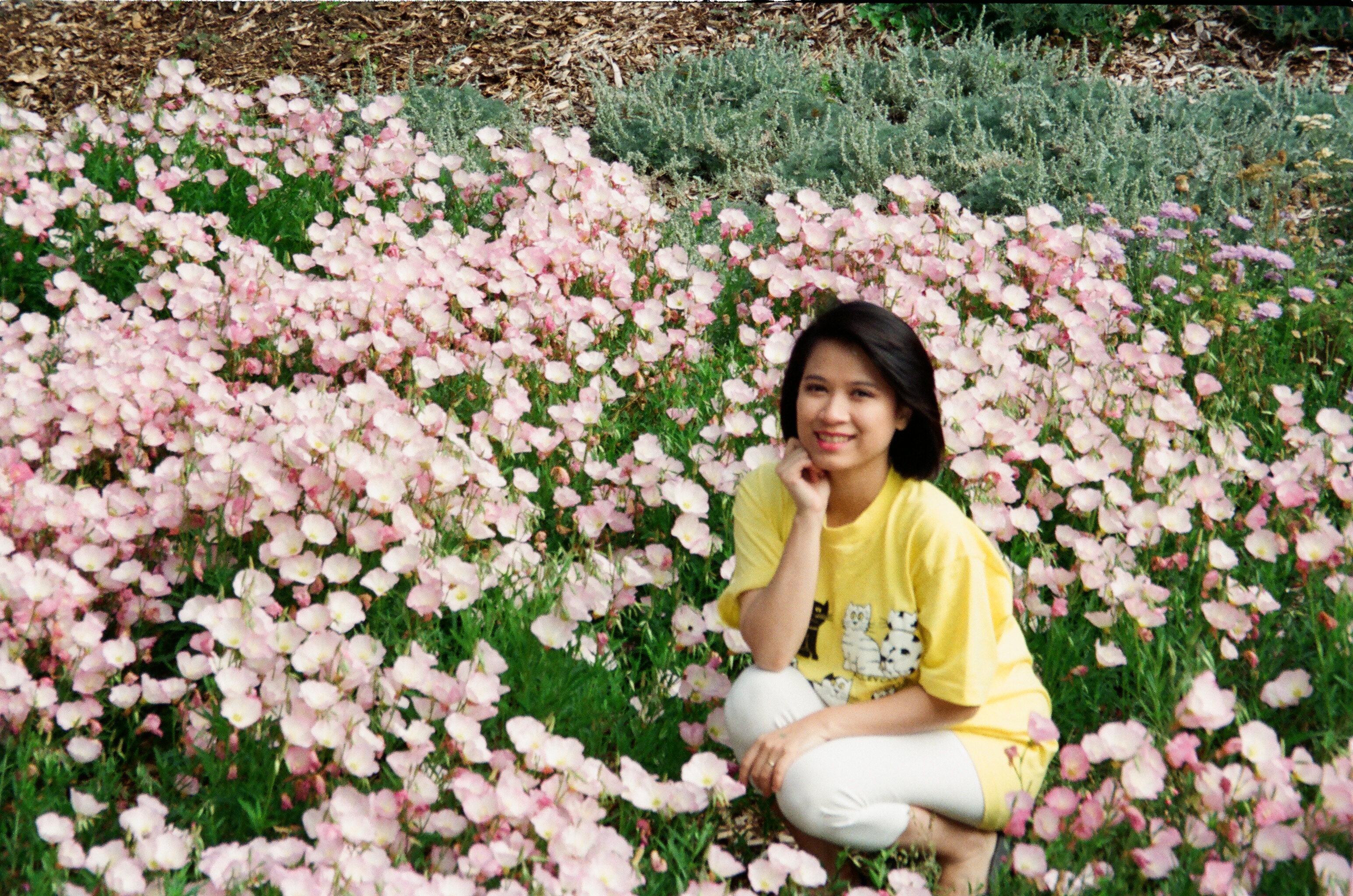 00339 San Francisco, CA