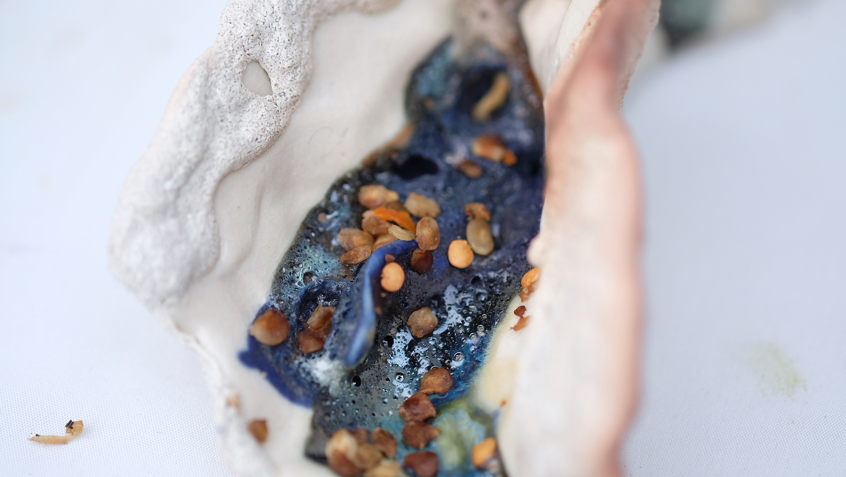 Écologies possibles, détail de l'installation, projet en cours, 2022