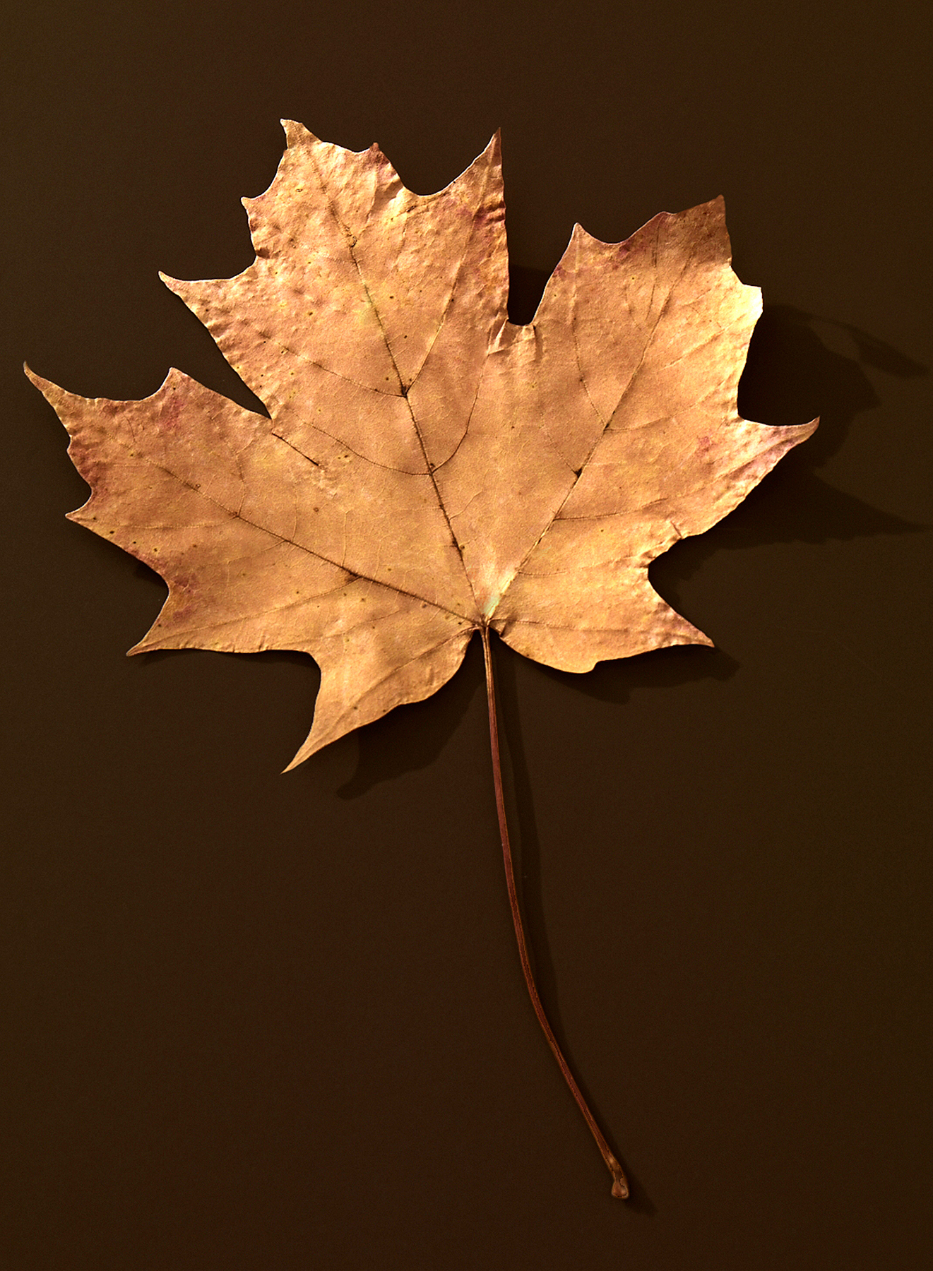 Unpublished Bon Appetite, Inspired by Wayne Thiebaud, 20104/4