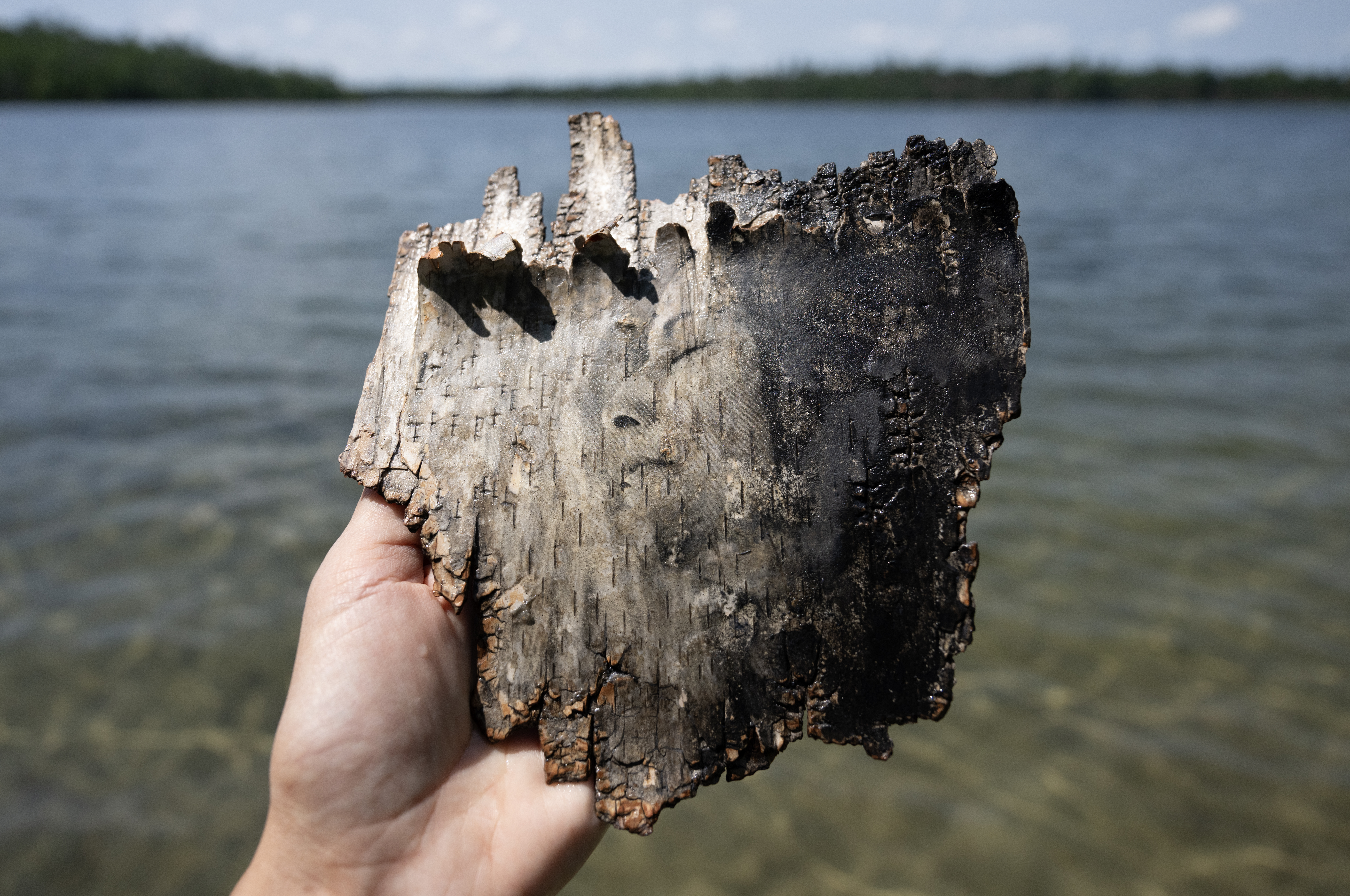 Sister, 2025, Shagawi-gamag/Ely, Minnesota. This mixed media (acrylic paint, adhesive, birchbark) work was created during an arts educators' residency at Tofte Lake Center in July of 2025, as I spent the week examining internal/external landscapes through a lens of rematriation and experimentation with alternative processes.