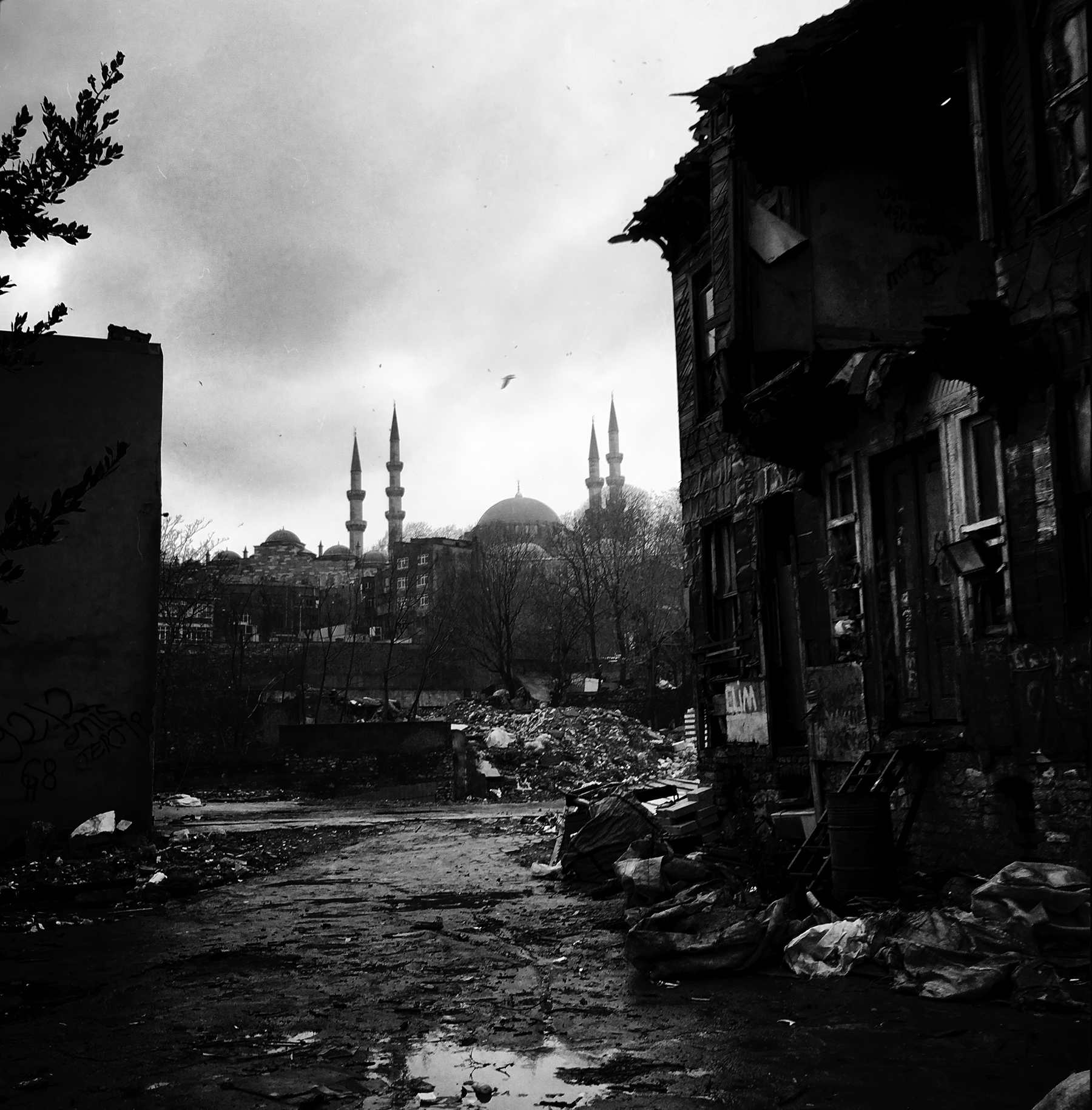 Derelict • 20x20cm