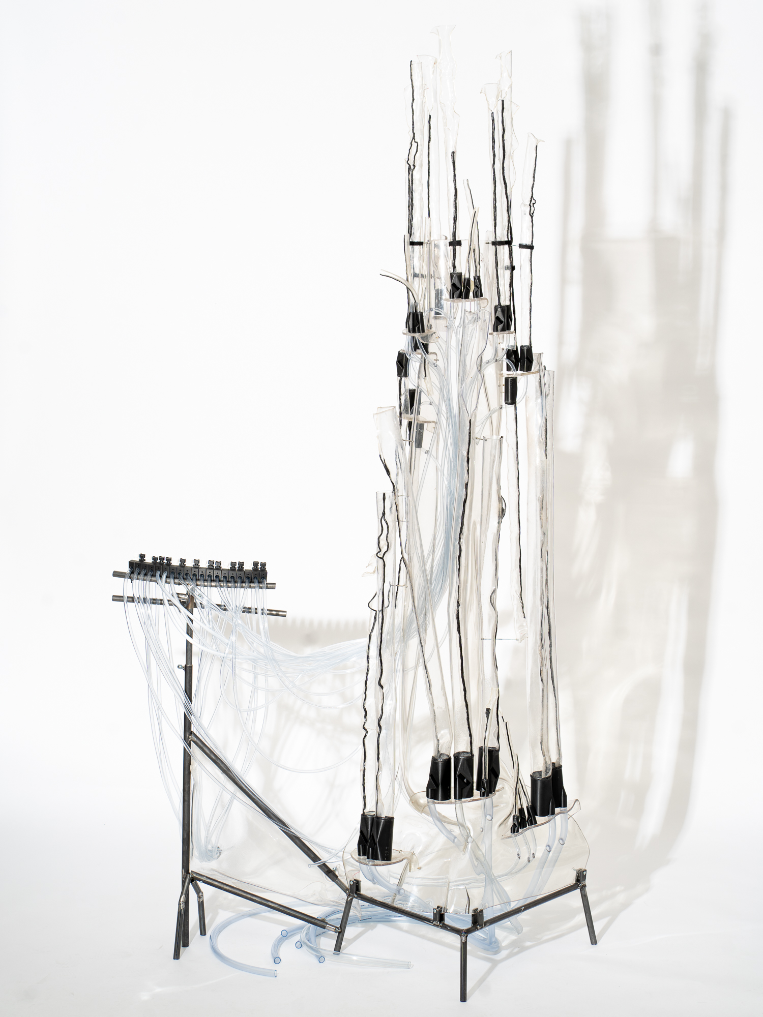 RIFF*2 &ndash; Orgel (2025)