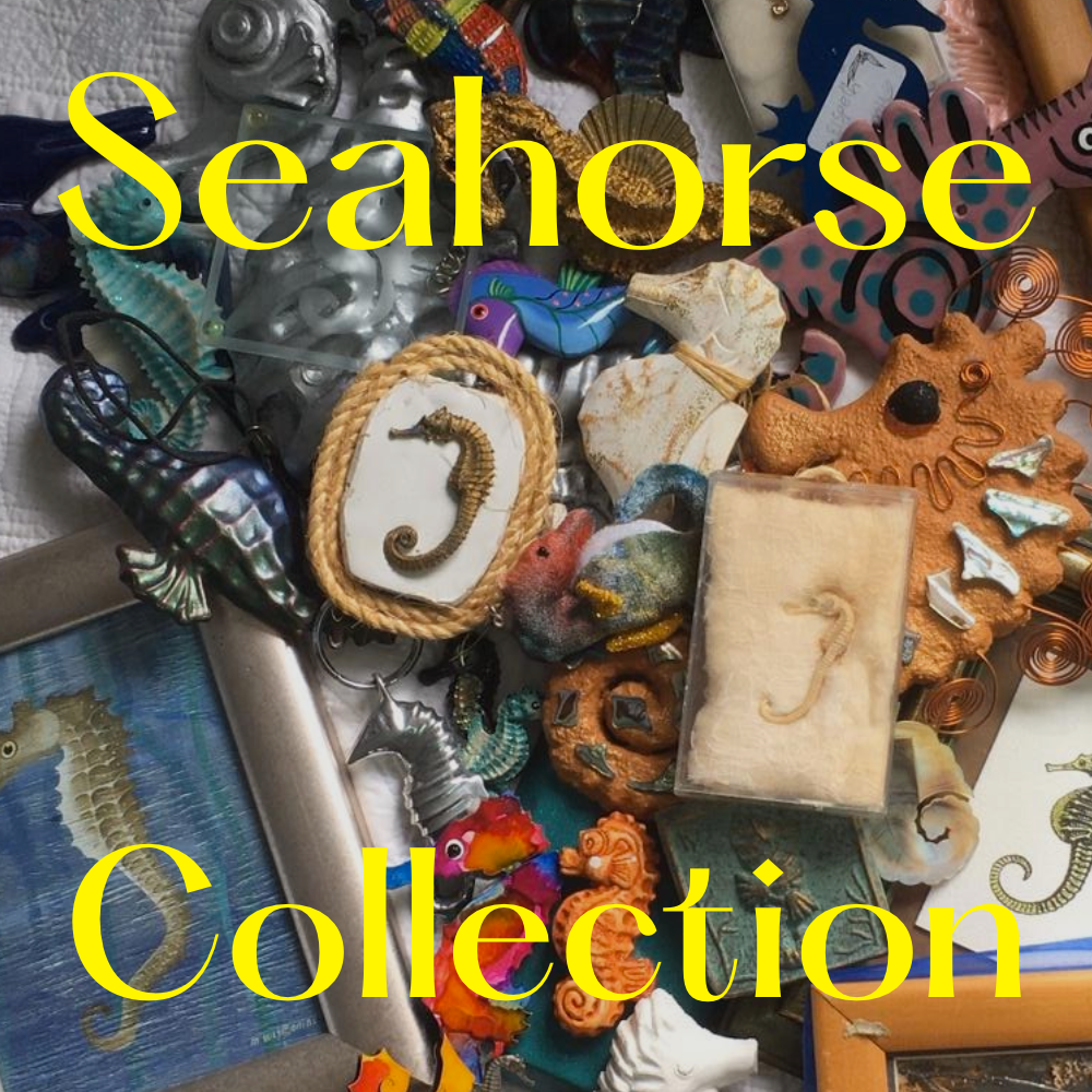 Why I collected seahorses
