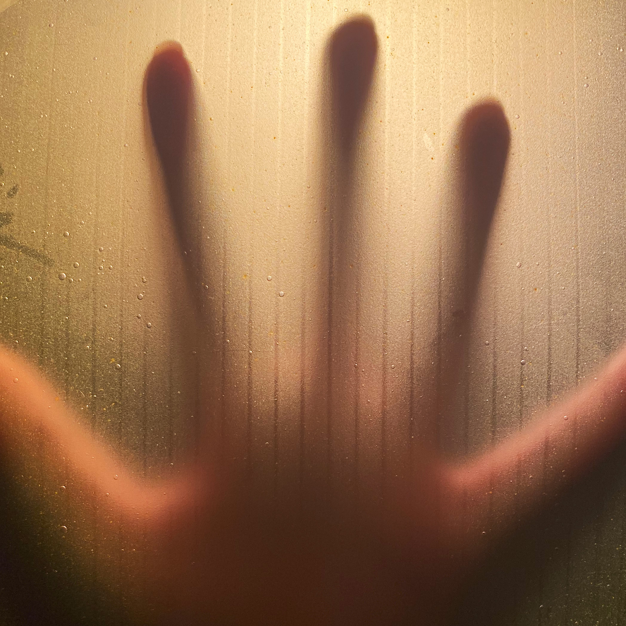 Bioplastics & Mycelium