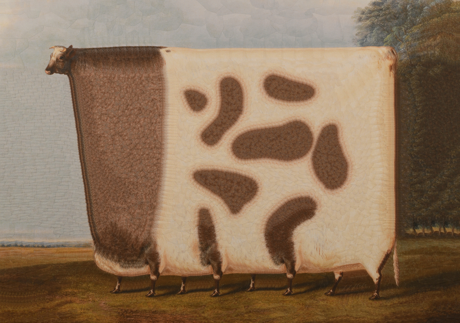 Bull after Clark, 2024, 16.5 x 23.4 inches