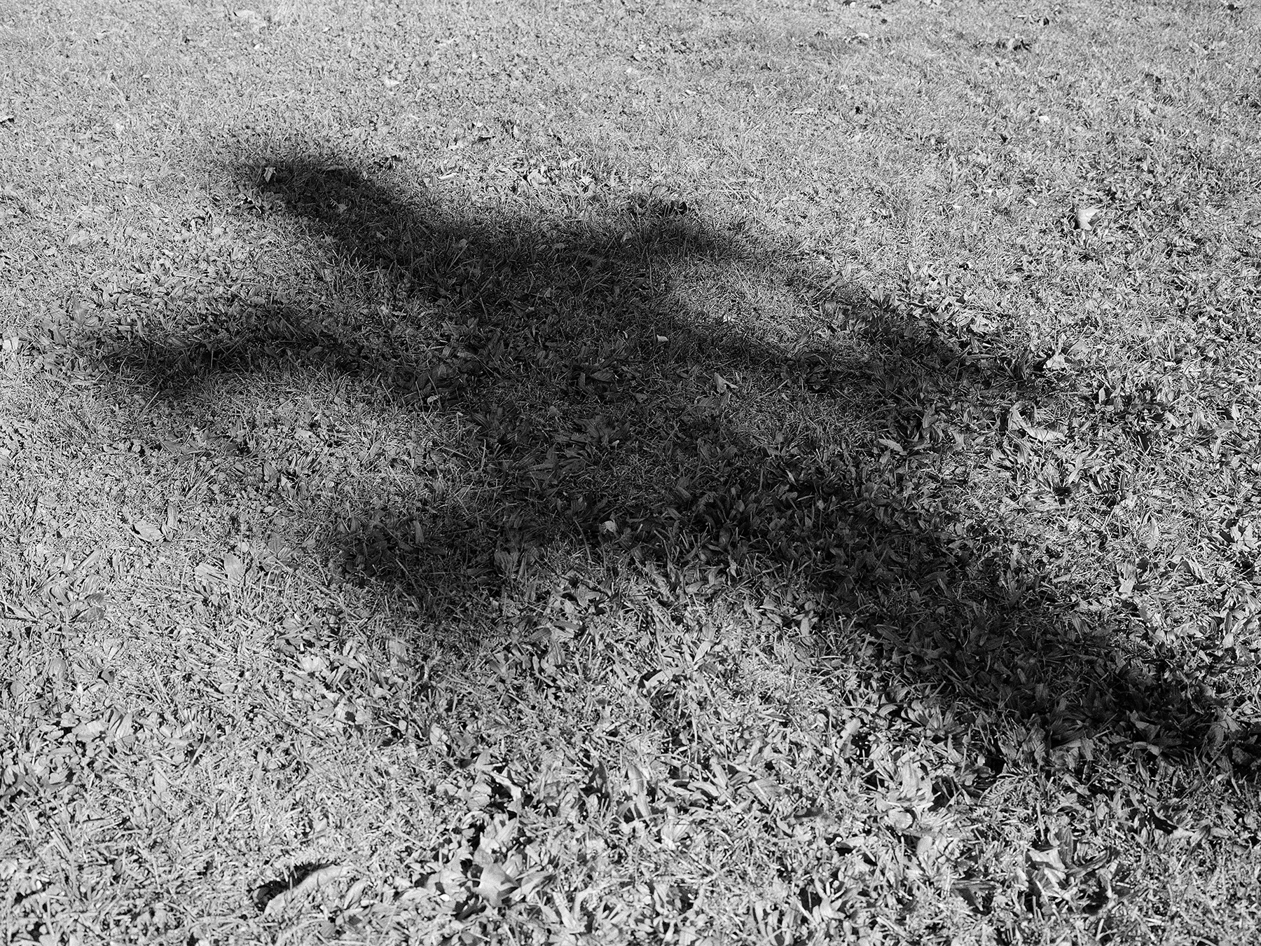 Siren's Shadow (Croton-on-Hudson, NY), 2023 / Archival pigment print, steel / 35.5 x 44.375 in.