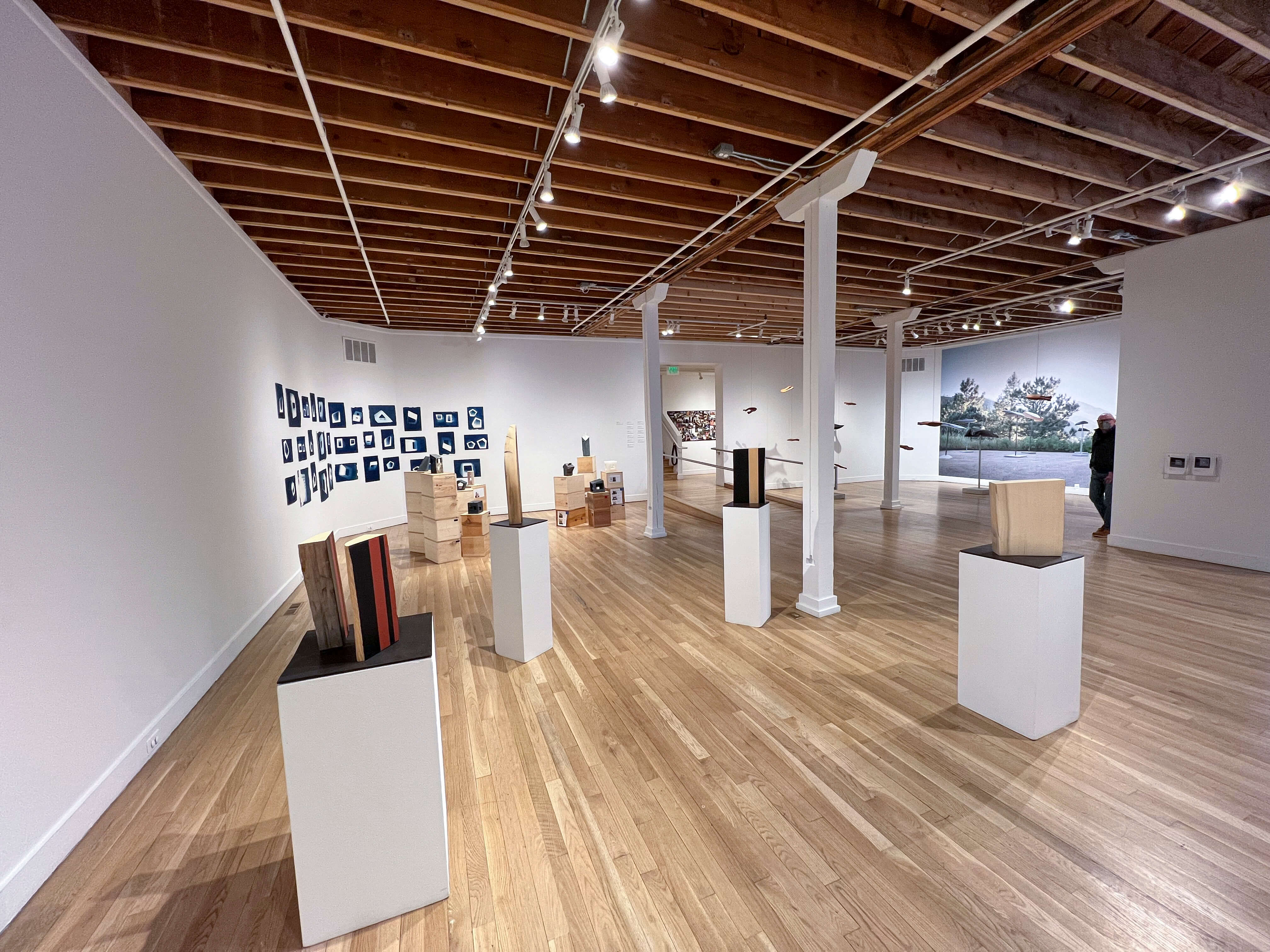 Incredible Lightness: Retrospective (solo exhibition) - Painted wood and 2D works- Boulder Museum of Contemporary Art - 2021