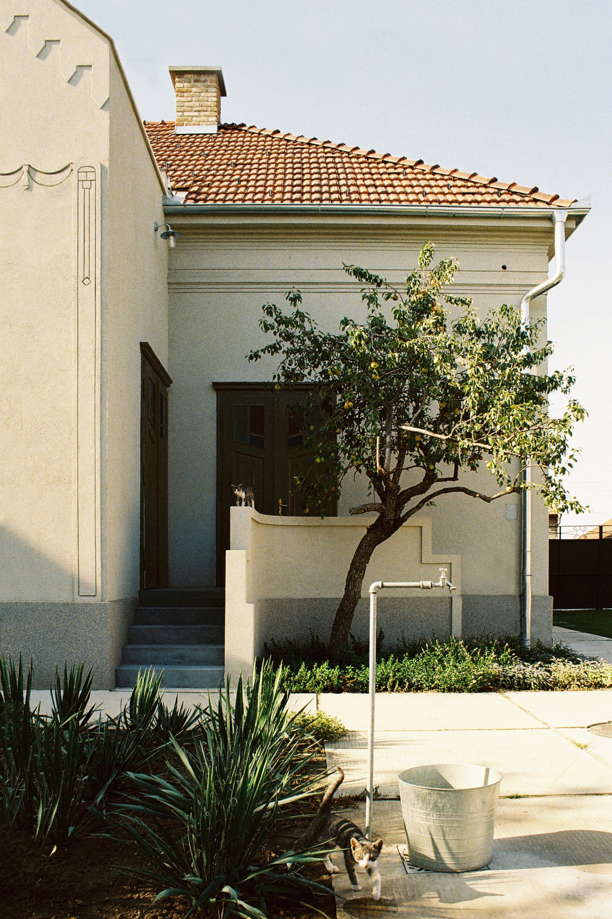 08.jpg