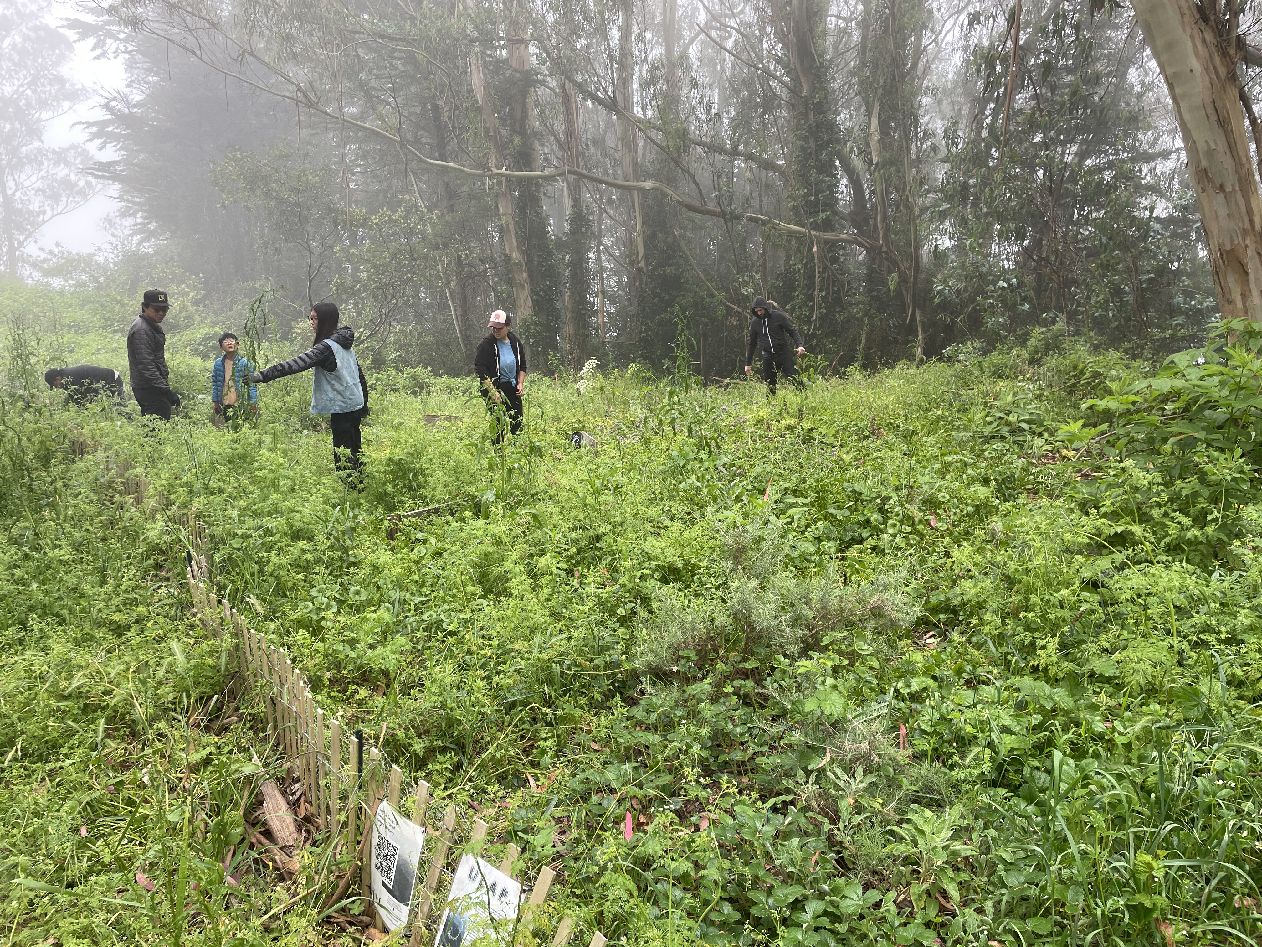Foggy morning, mother's day 2024