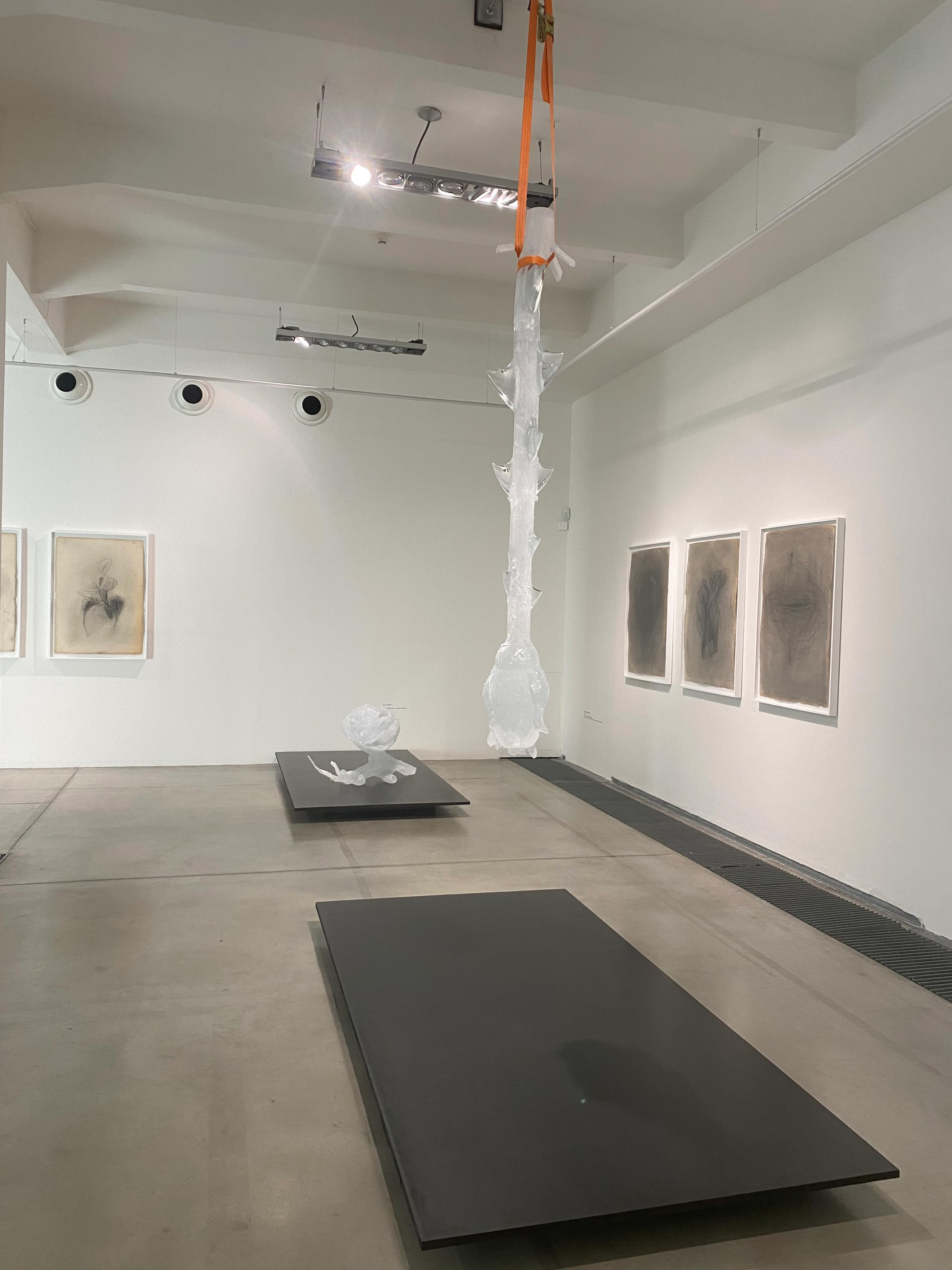 Pohled do expozice výstavy, Fotografie: ArtCapital