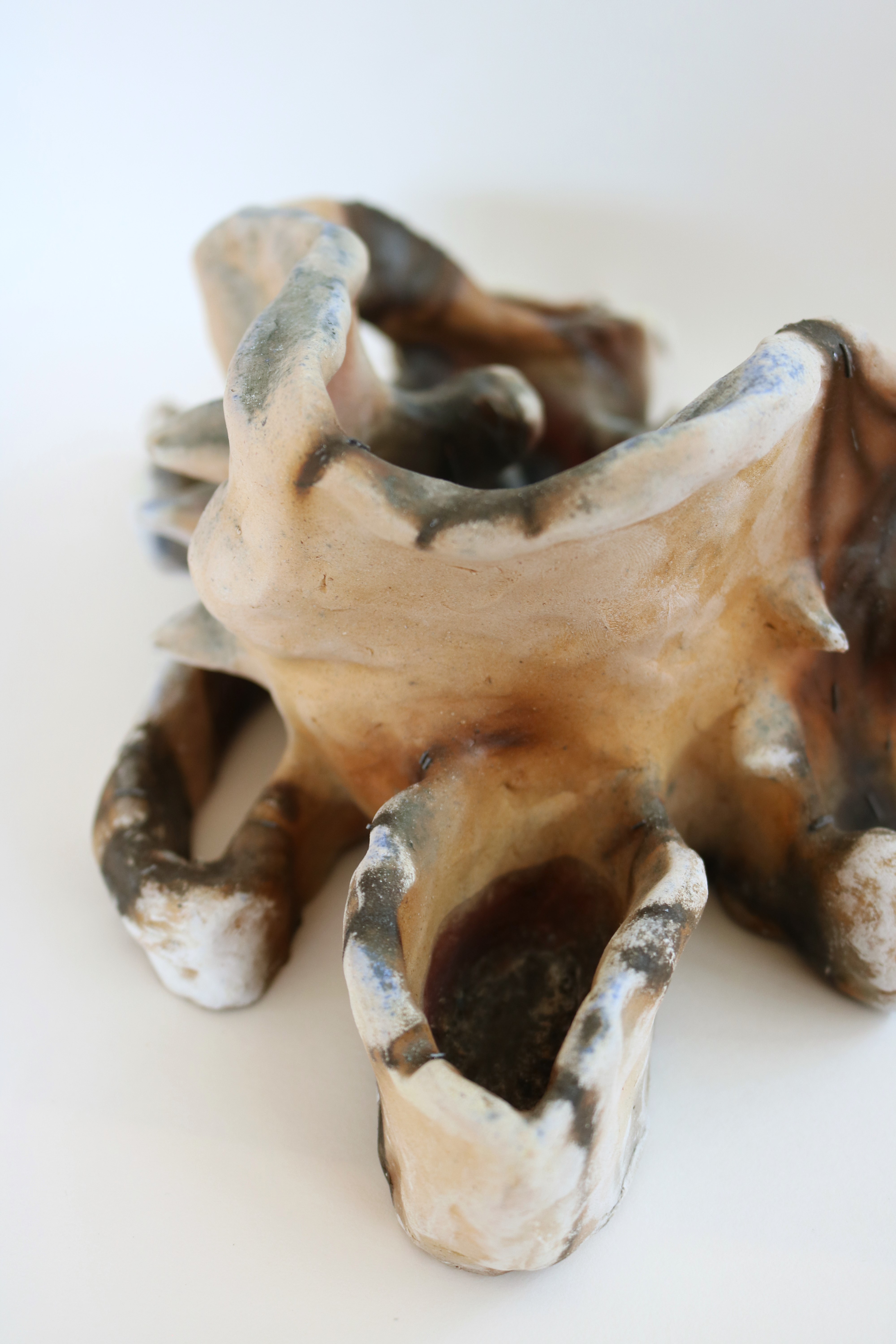 buried bones, saggar fire, 2022