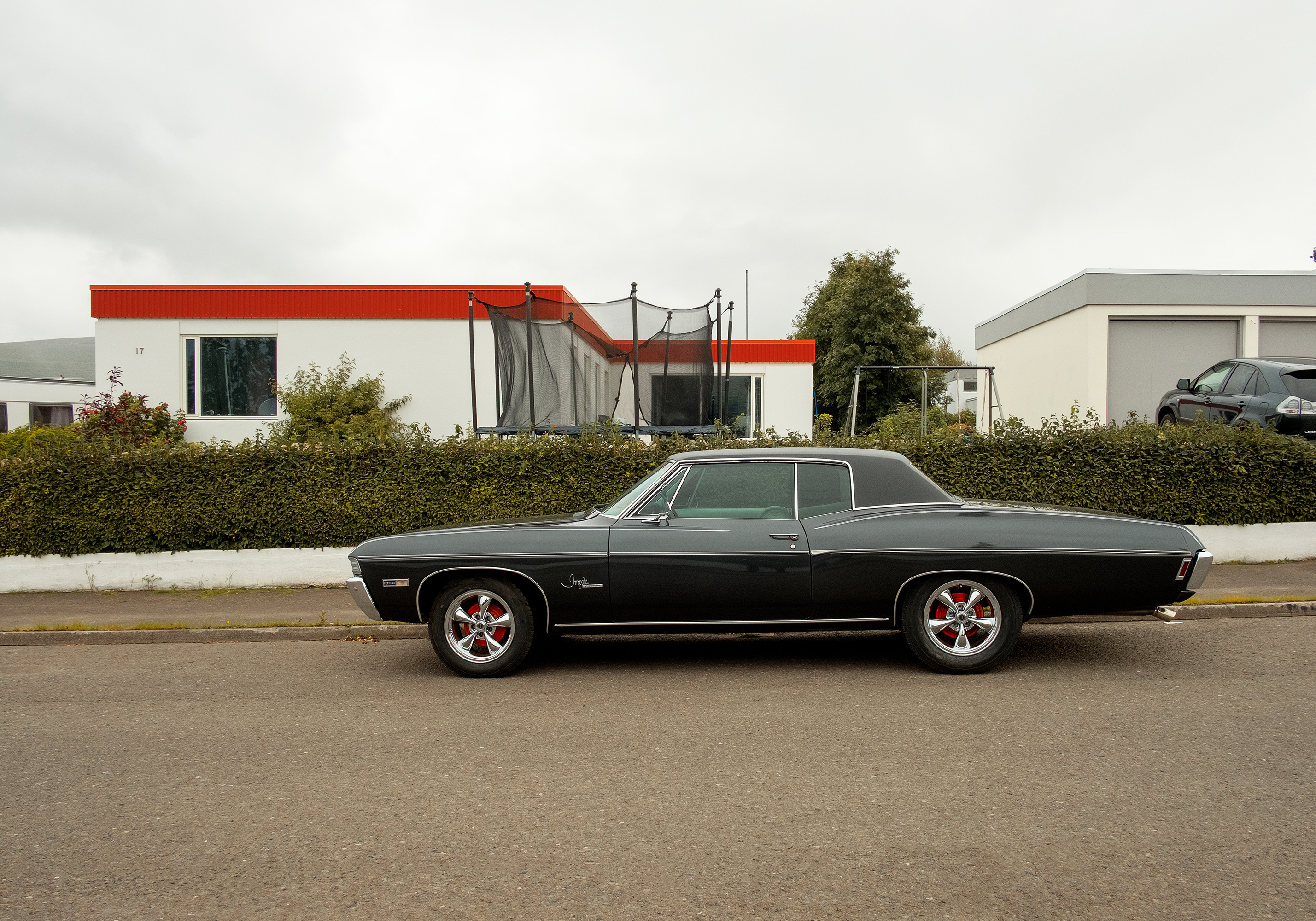 Domingo Nardulli TIFF