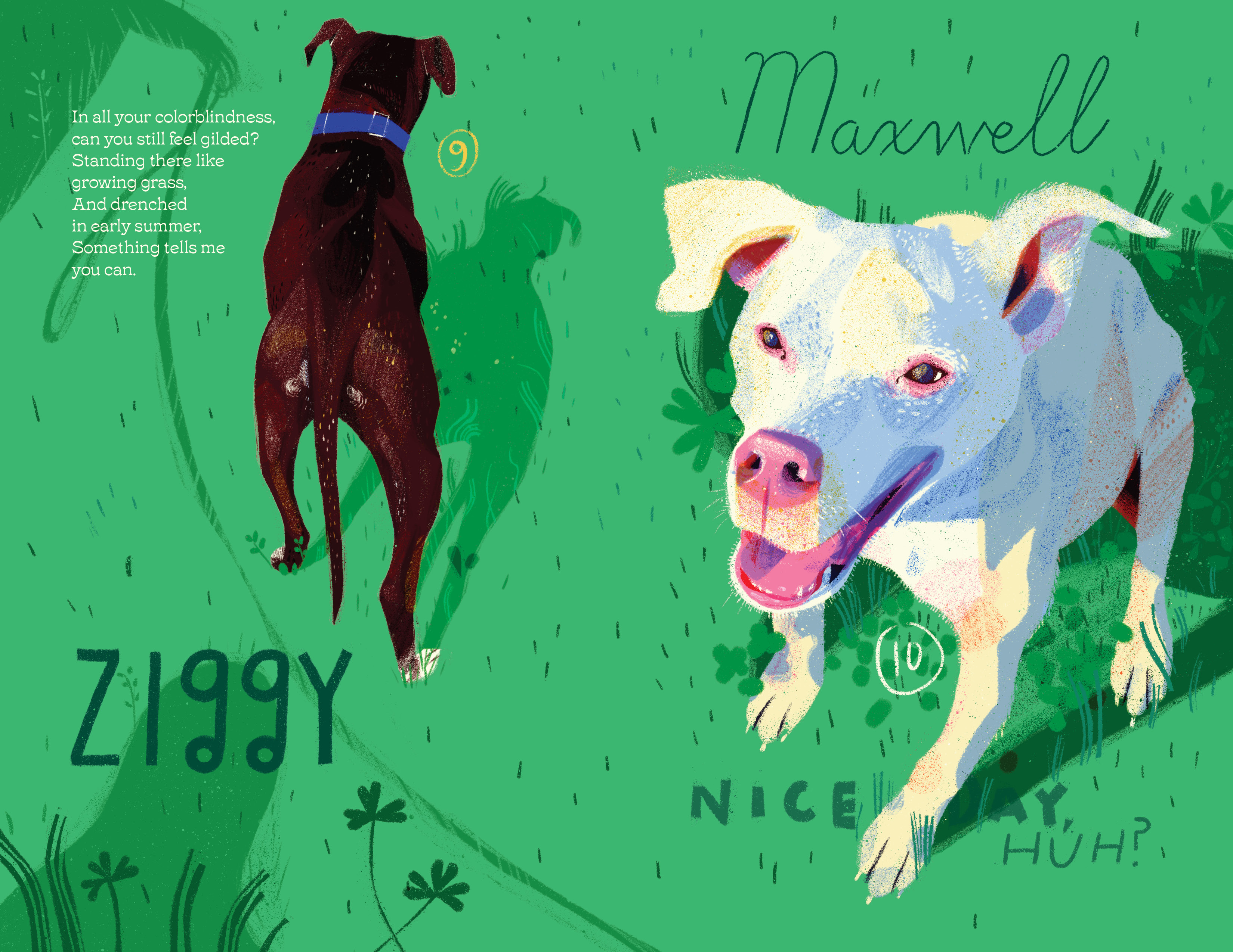 Ziggy + Maxwell Spread