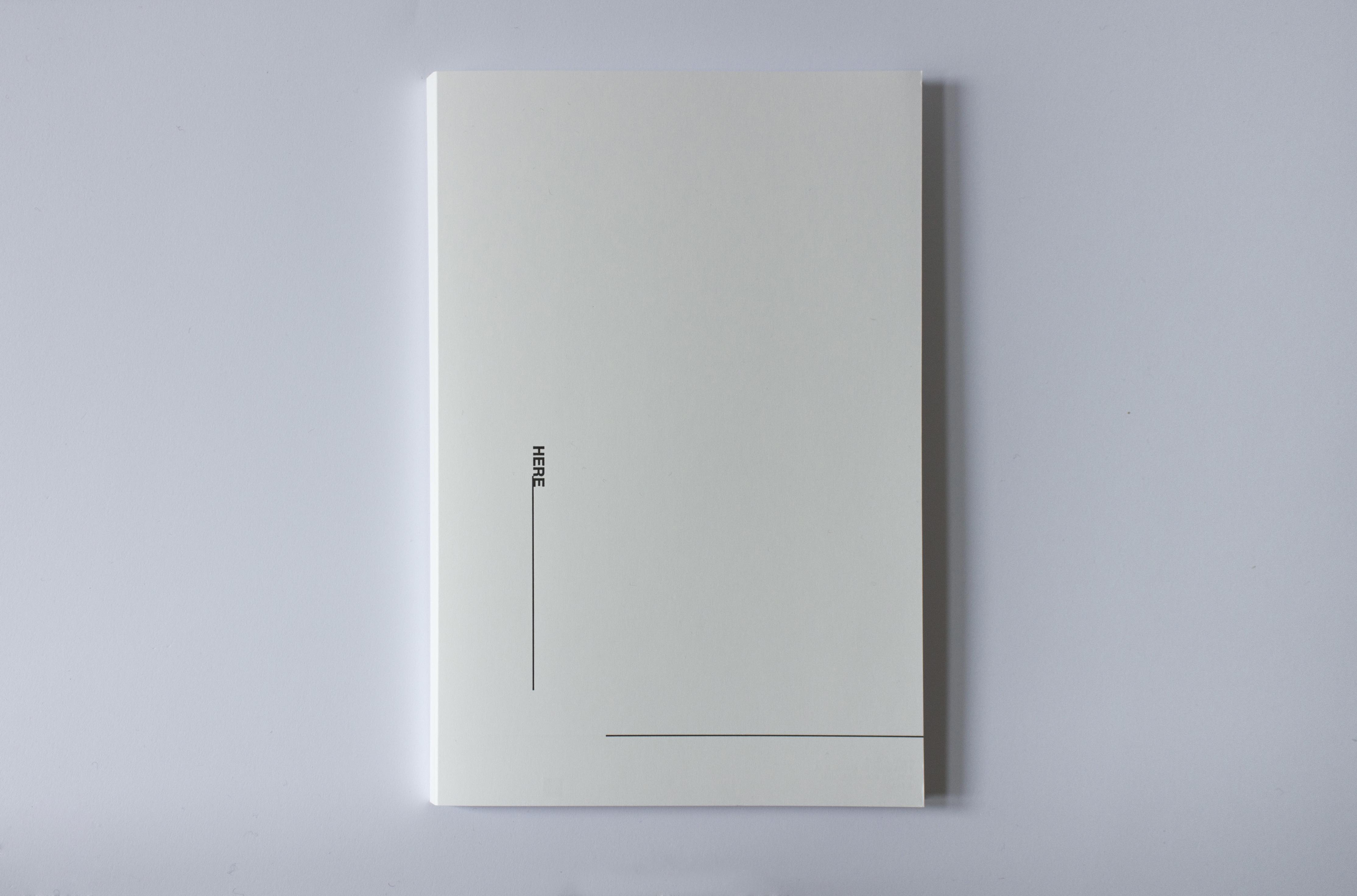 alt="Peter Downsbrough here leporello cover"