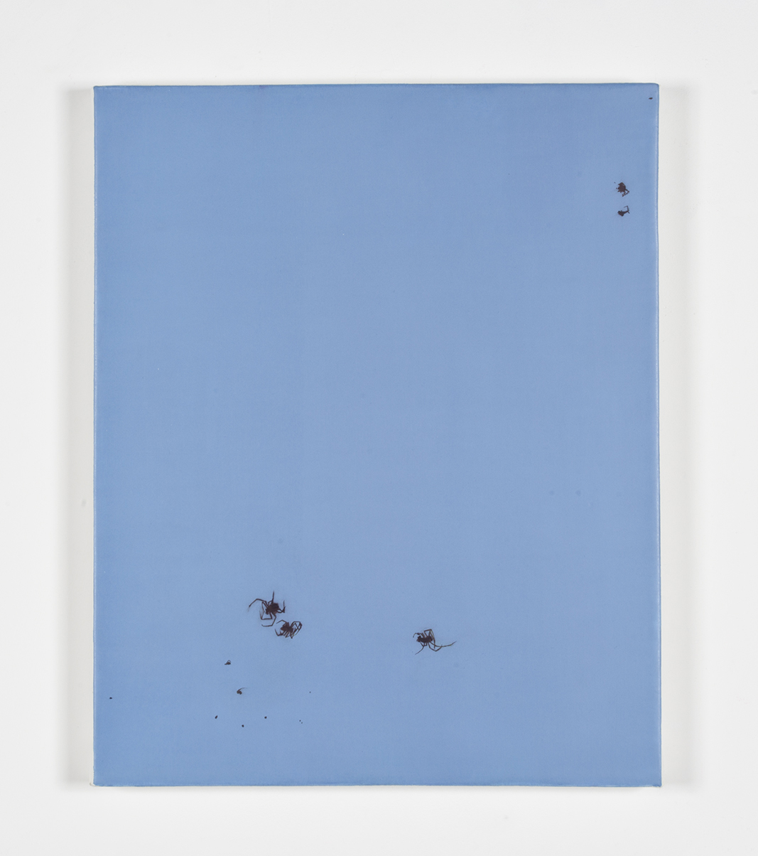 Spiders, 2017oil on canvas, 16 x 20 in.