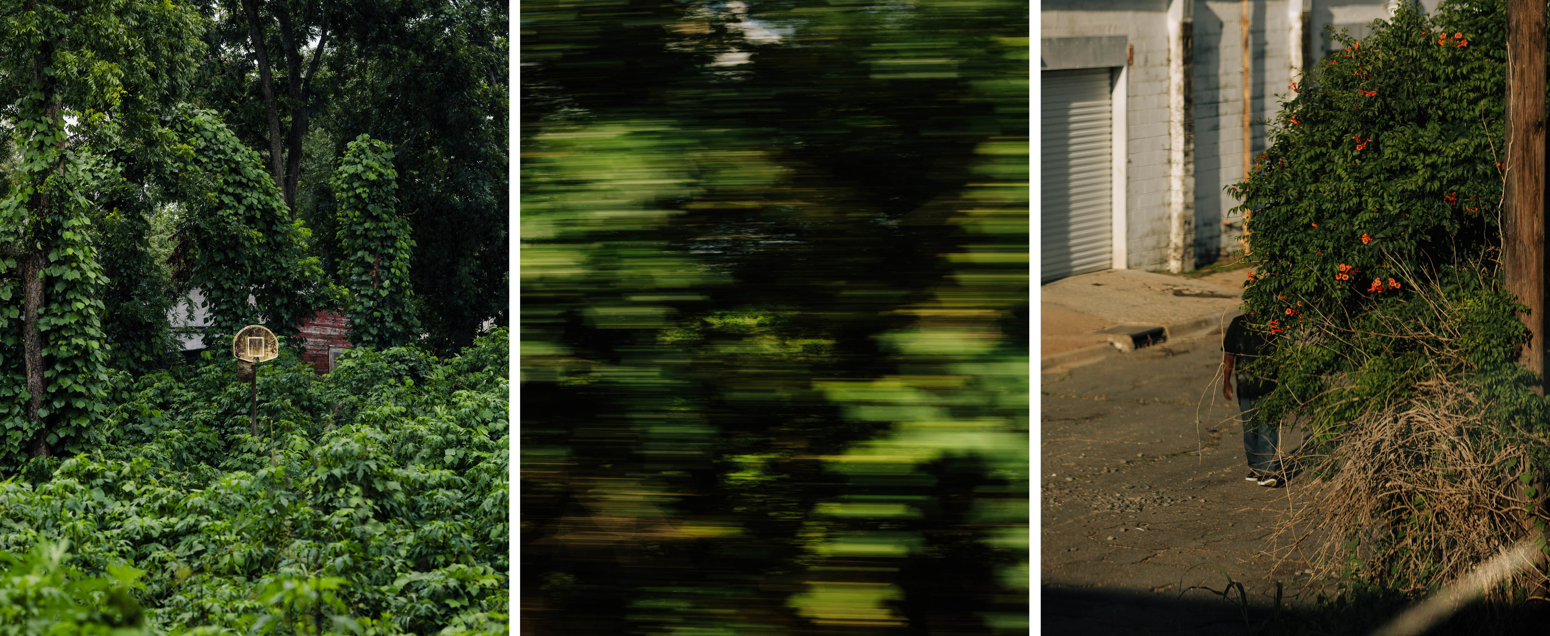 A basketball court overtaken by kudzu in McComb, Miss. A view out of the train window outside of Magnolia, Miss. A man walks down the street as seen out of the train window in Yazoo City, Miss.