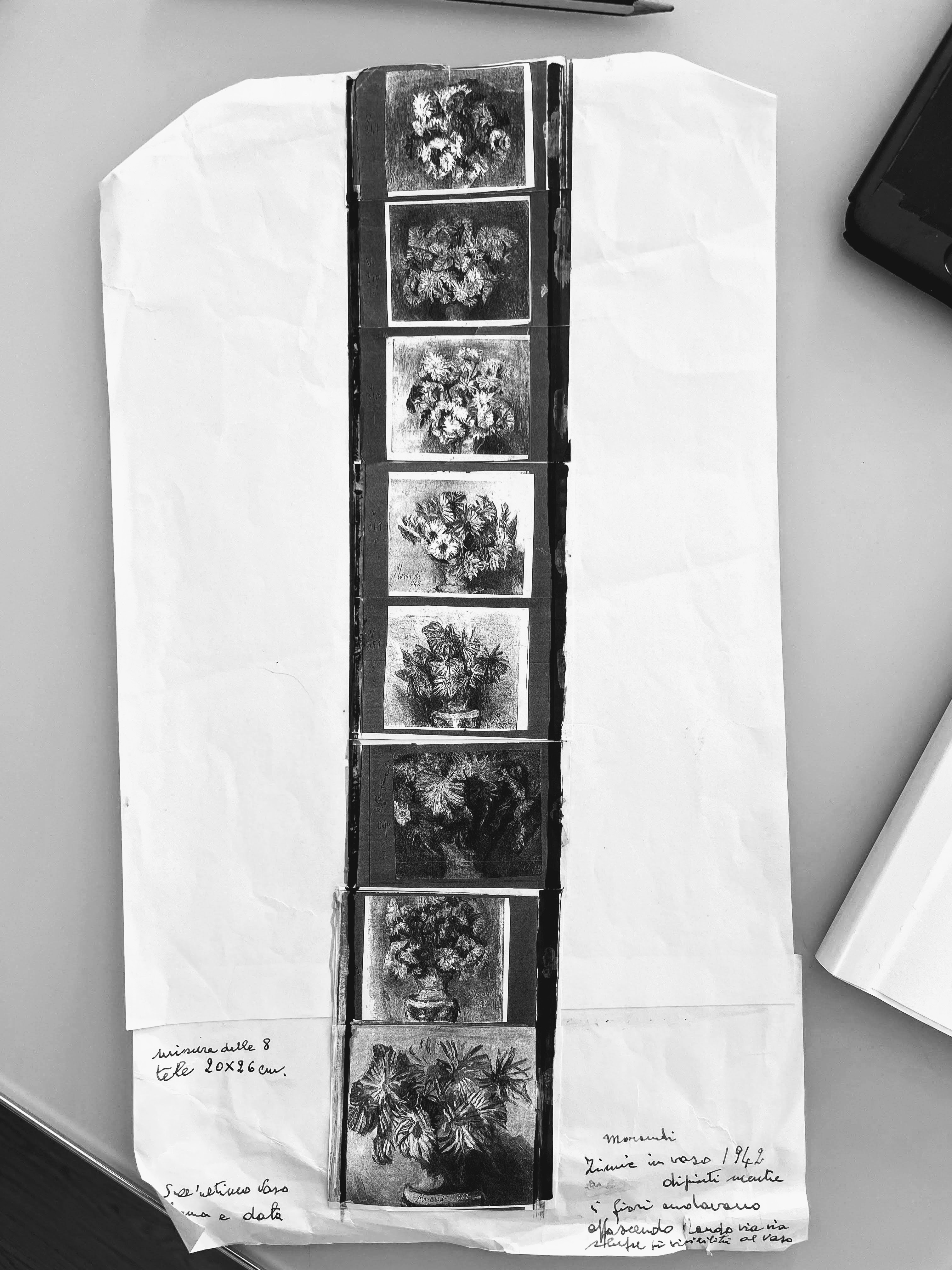 Appunti di Carlo sulle zinnie di Morandi, Bologna, MaMBO, 11-5-21