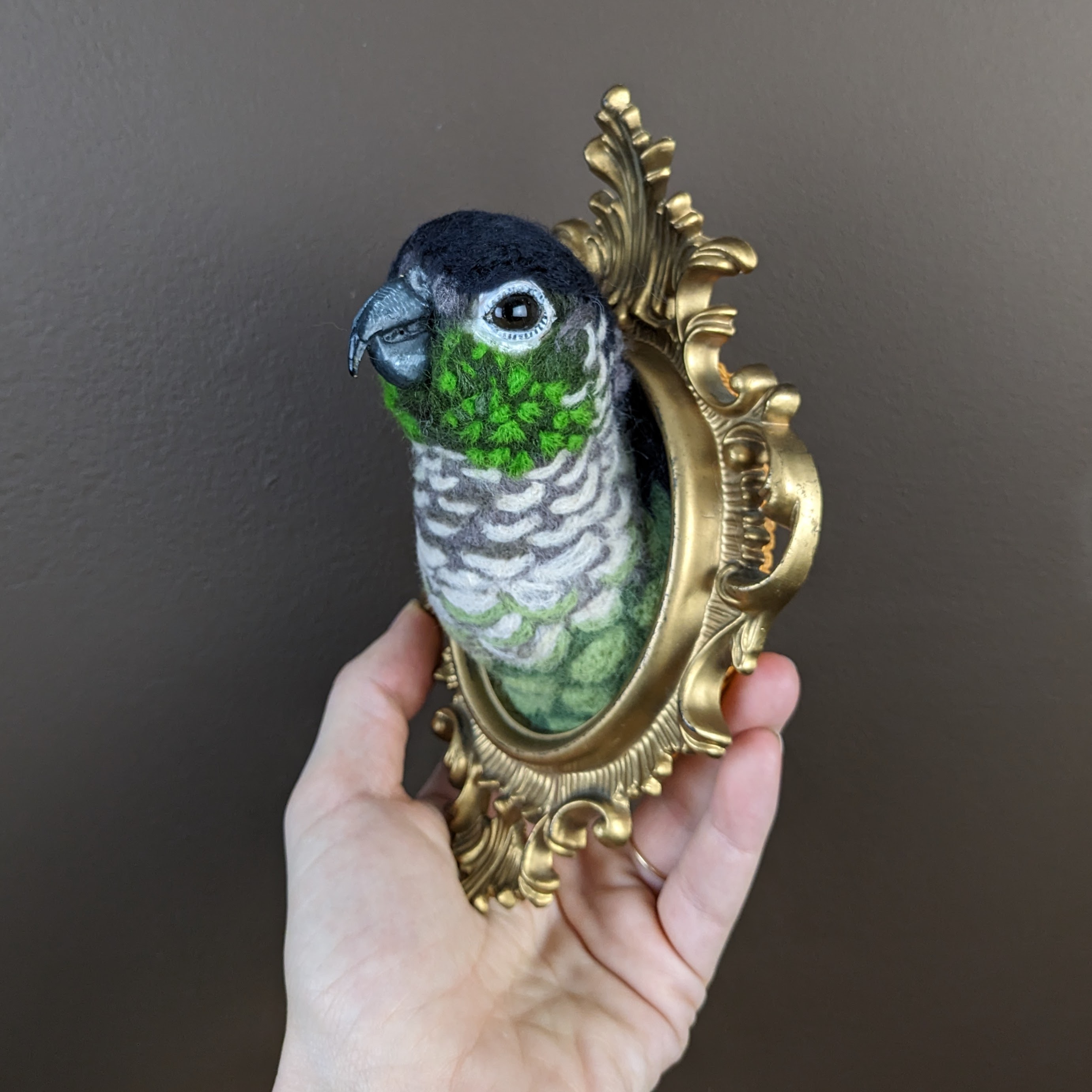 Green Cheek ConureNeedle felted wool faux taxidermy2023SOLD