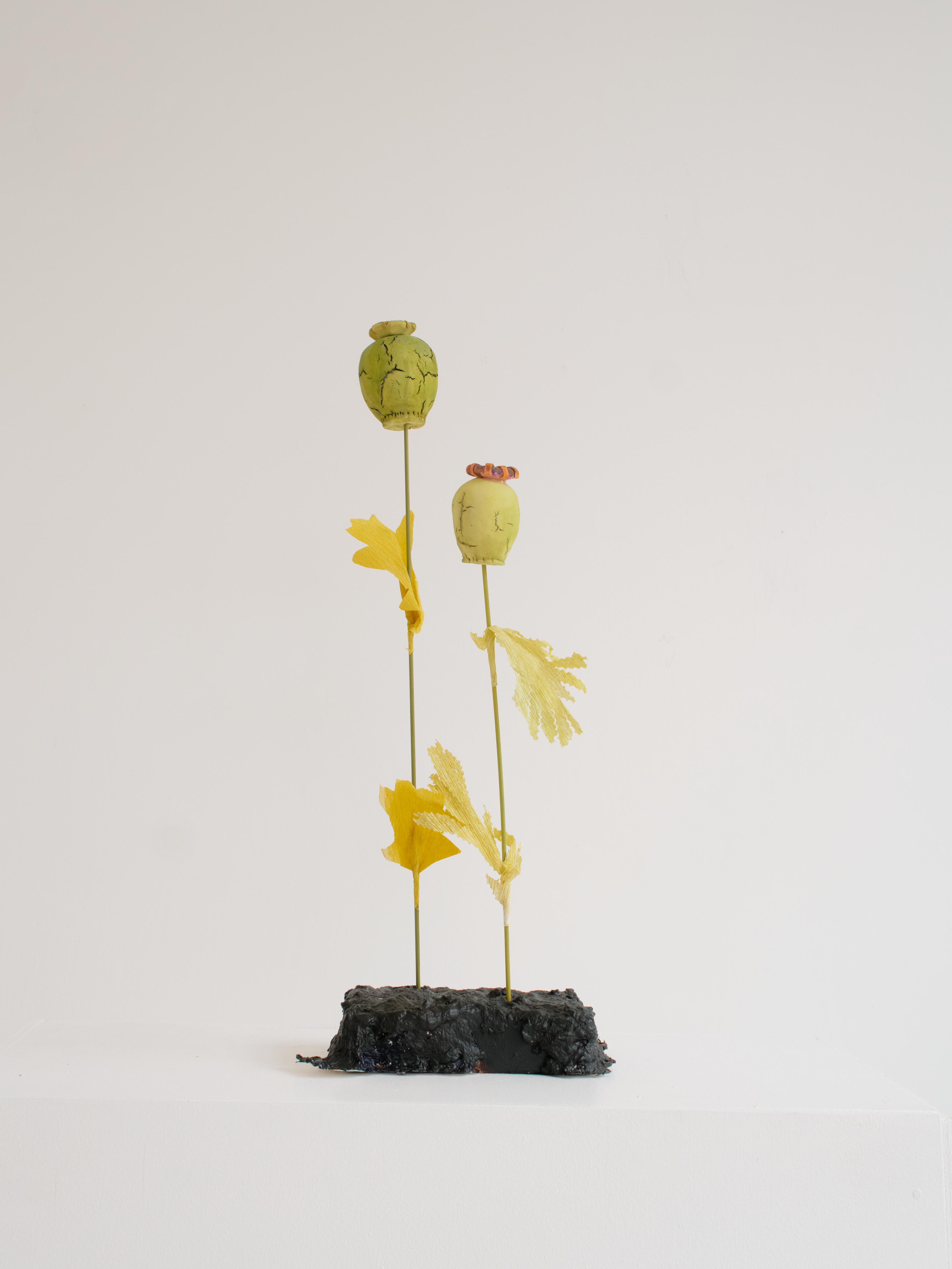 "Stand of Poppies - Duo 3", dimensions variable, mixed media with wood and papier mache base, 2025. (SOLD)