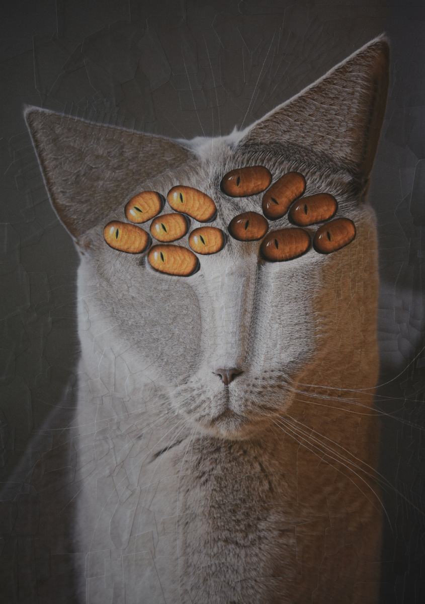 The Unknown Cat, 2021, 8.2 x 11.6 inches