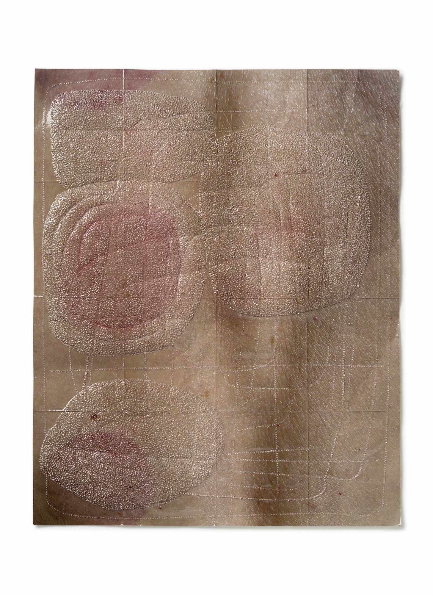 Sweet Bruises, 2014 . Perforation on folded photograph,  35 x 25 cm . Private Collection, Amsterdam, The Netherlands