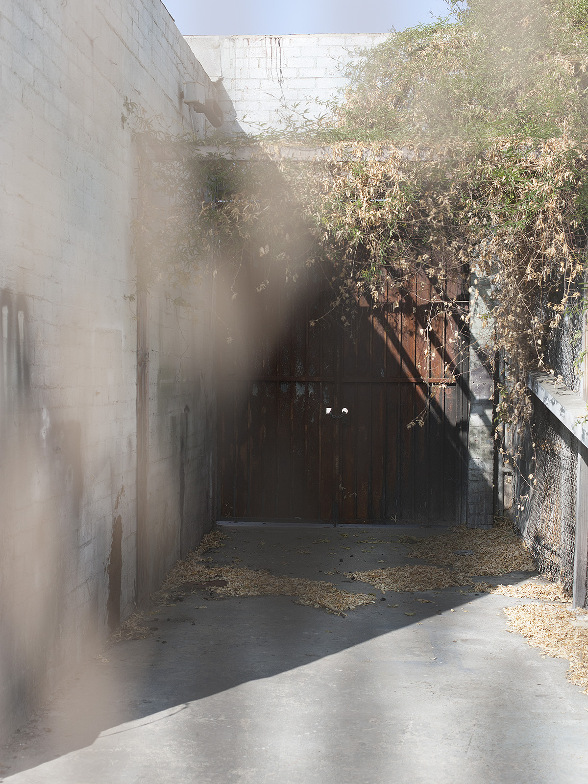 Driveway (Telotype #012), Exposition Boulevard, Los Angeles, October 2019.