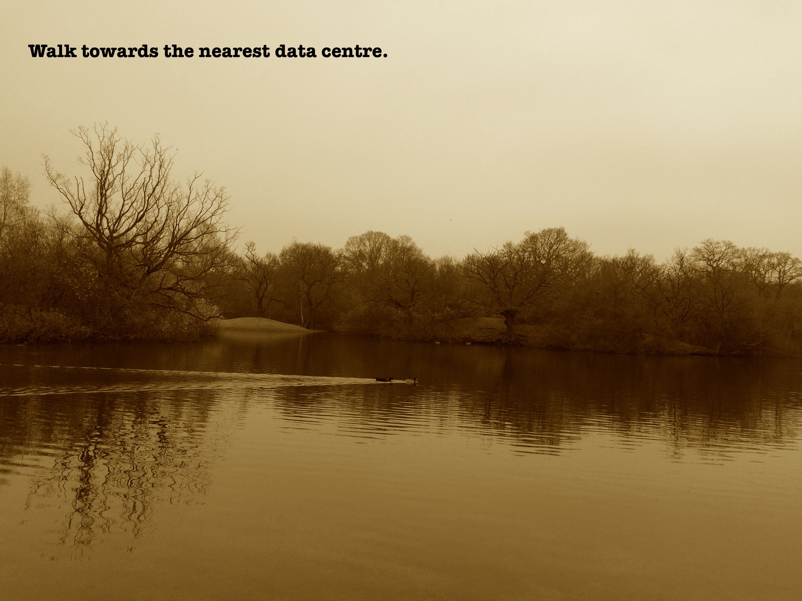 untitled by Andrew Brown