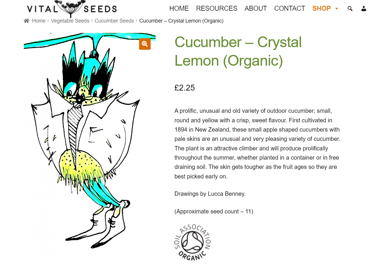 Crystal Lemon the Cucumber, Vital Seeds 2021