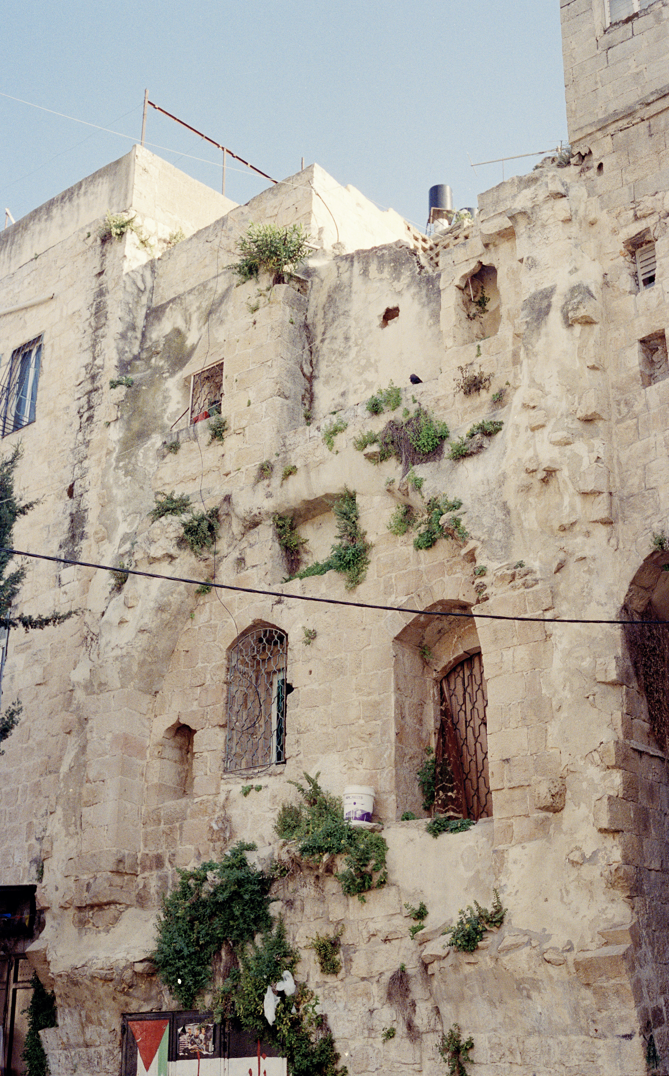 Palestine, landscapes