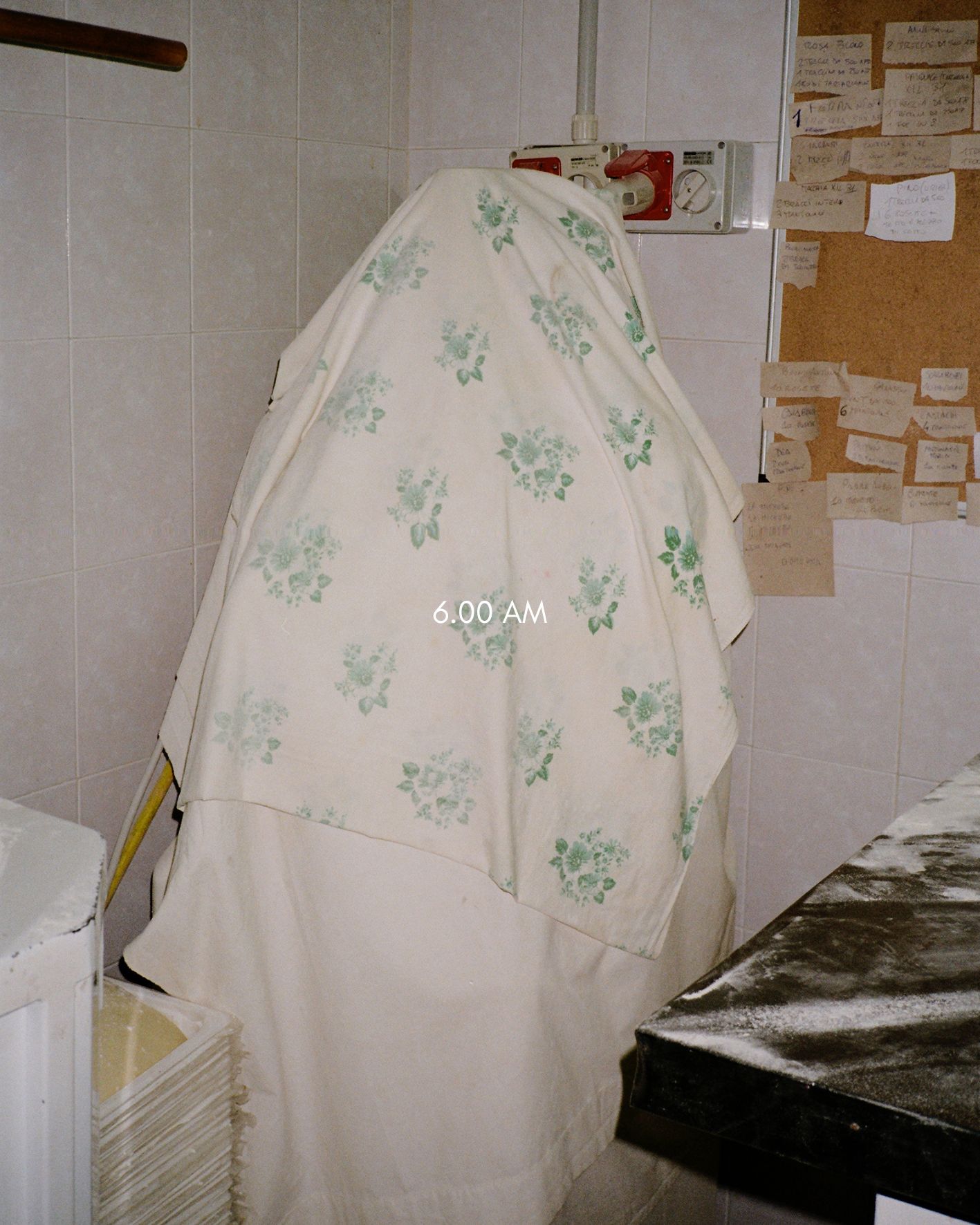 Mio padre_Domingo_Nardulli 