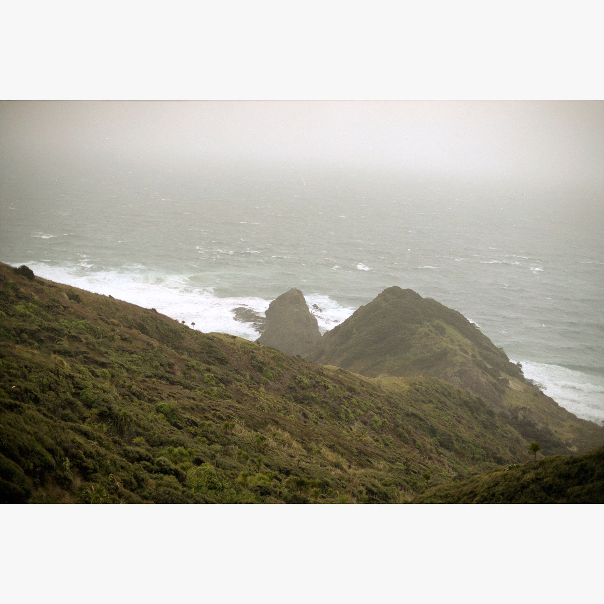 5/5Te Rerenga Wairua (041001_015)