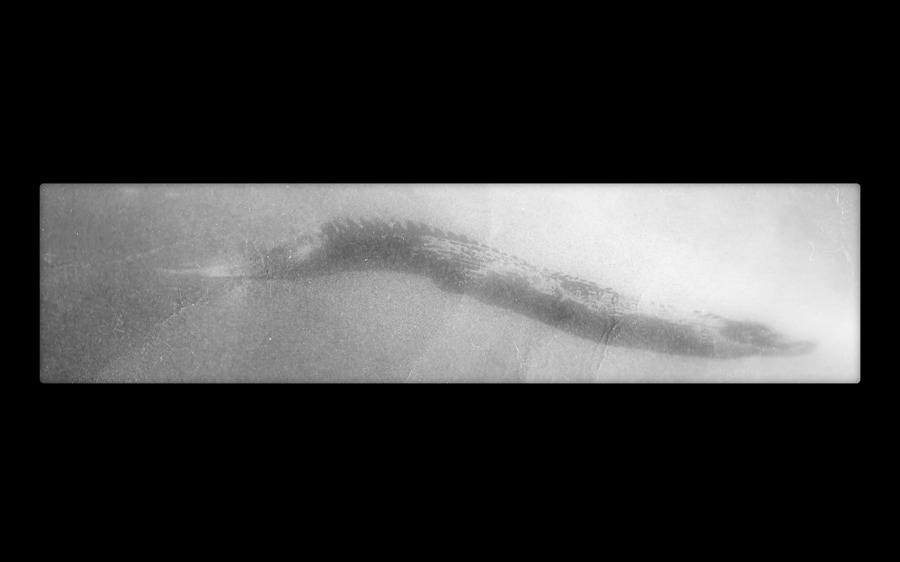 Images from Sign of Cipactli: Part I & II