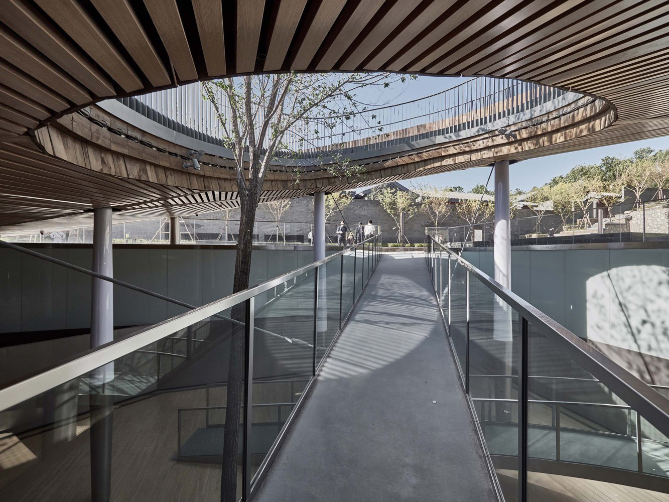 Timber / Metal Roof & Columns