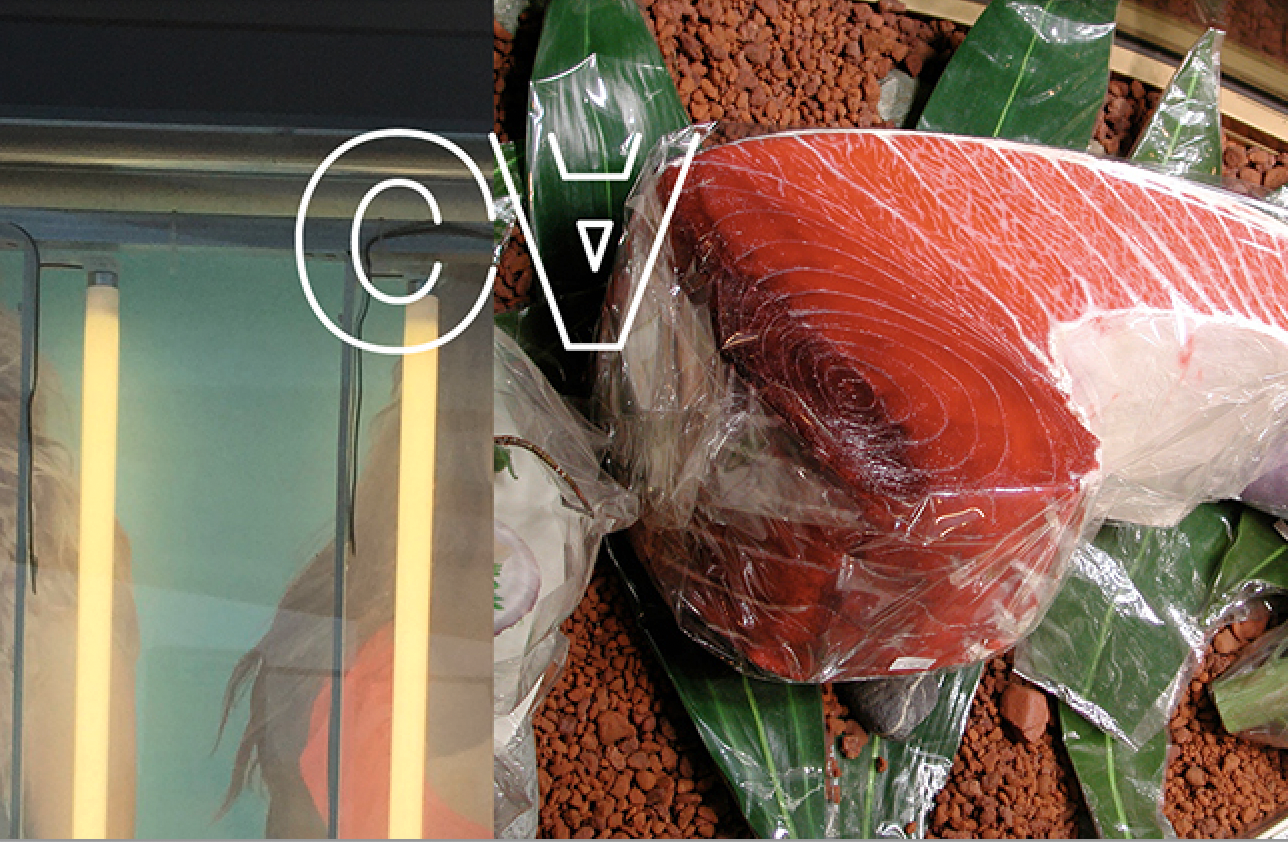 Camera Arts, HSLU, CH