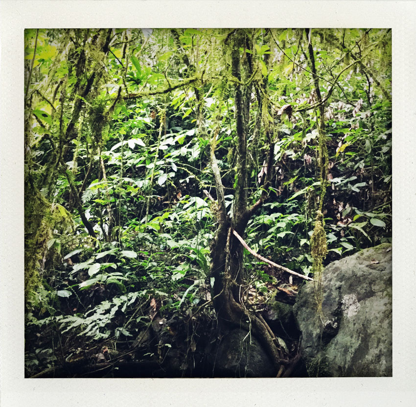 2015/08 Bali Indonesia