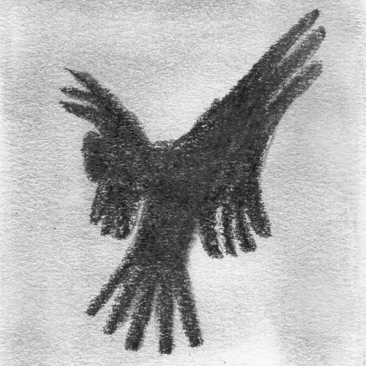 Lines Bernard / TC Tighe, Julesy