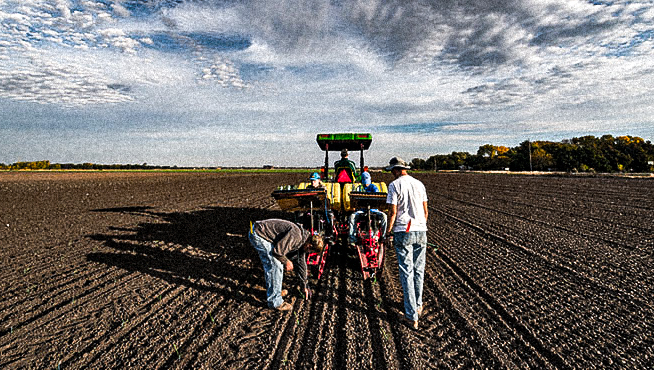 https://landinstitute.org/