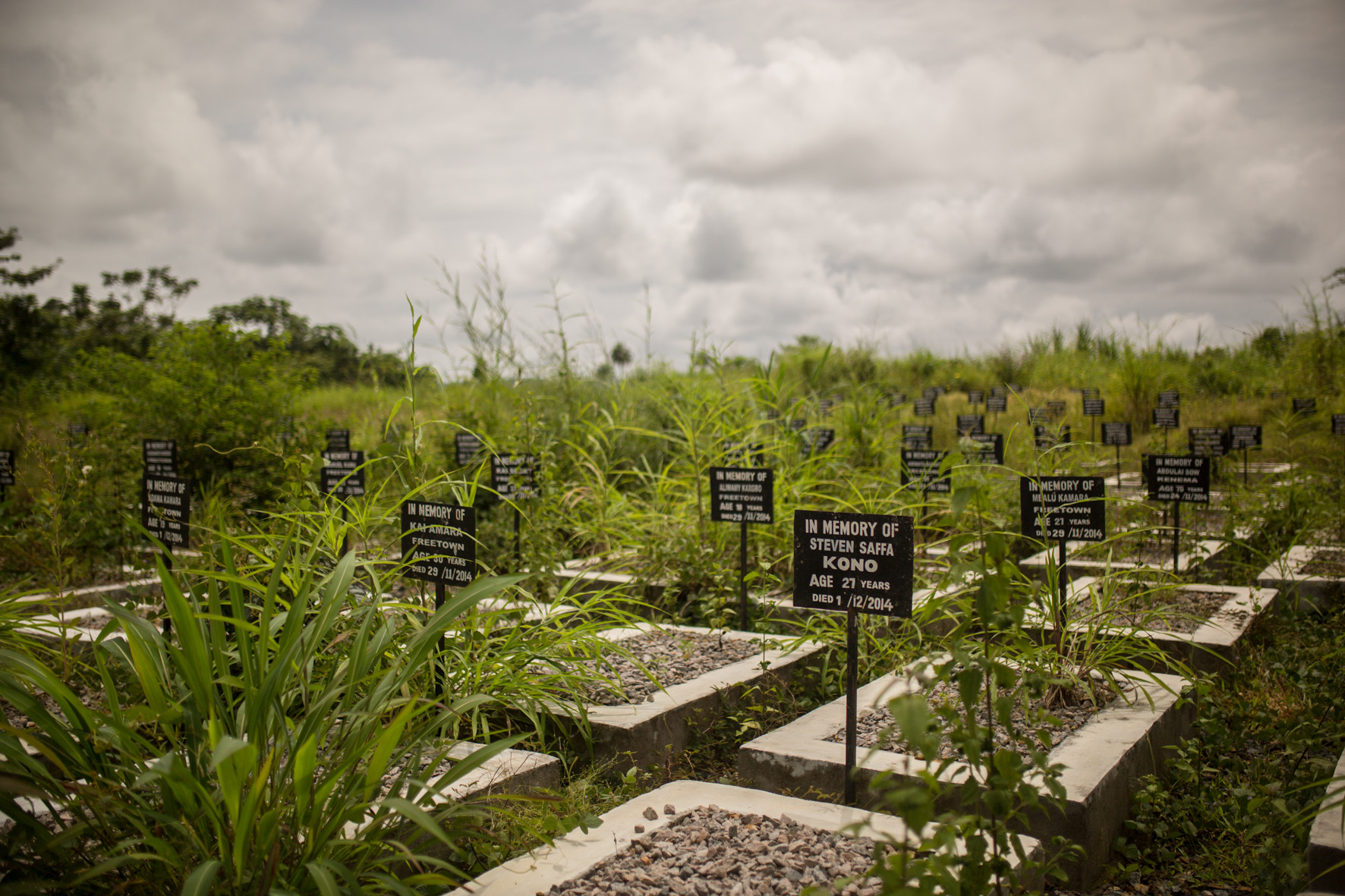 In Kenema, next to the place where Red Cross Ebola Treatment Centre located, is an Ebola cemetery. This is the final resting place of around 265 people who were killed by Ebola.