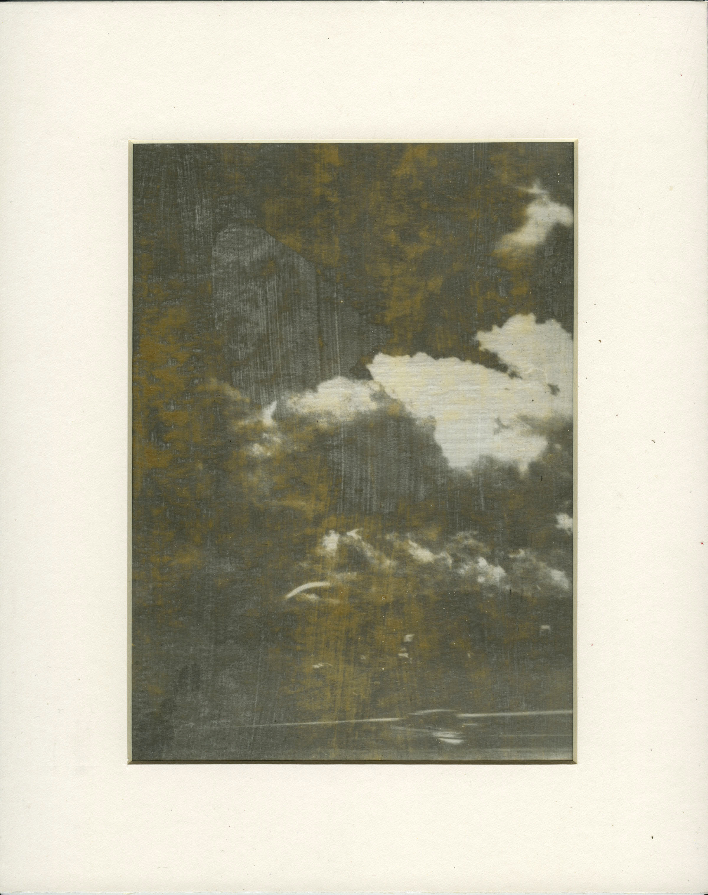 Greyhound #1, 2016, Liquid Emulsion Print 8x10