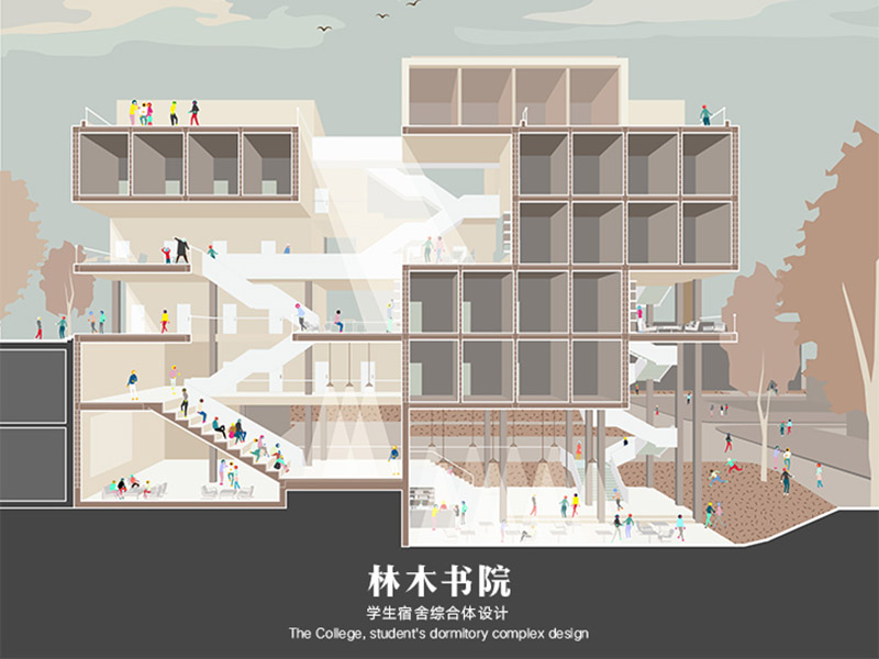 林木书院(BEST2)三年级