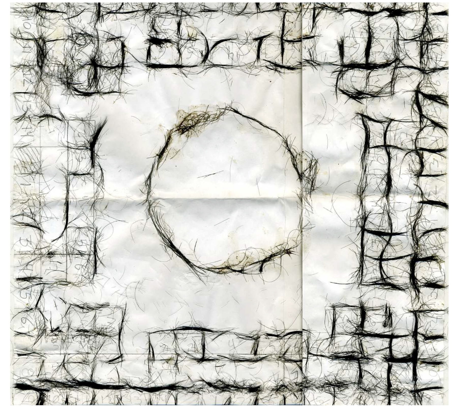 TIME EXCHANGE 331|2010 Hair on paper 43 x 56 cm. In exchange for the artist spying on his ex-lover in the Zona Rosa, "Eduardo" made a poleana board (a jail board game that is also a visual representation of the prison) using a combination of both his and his current lover's hair.
