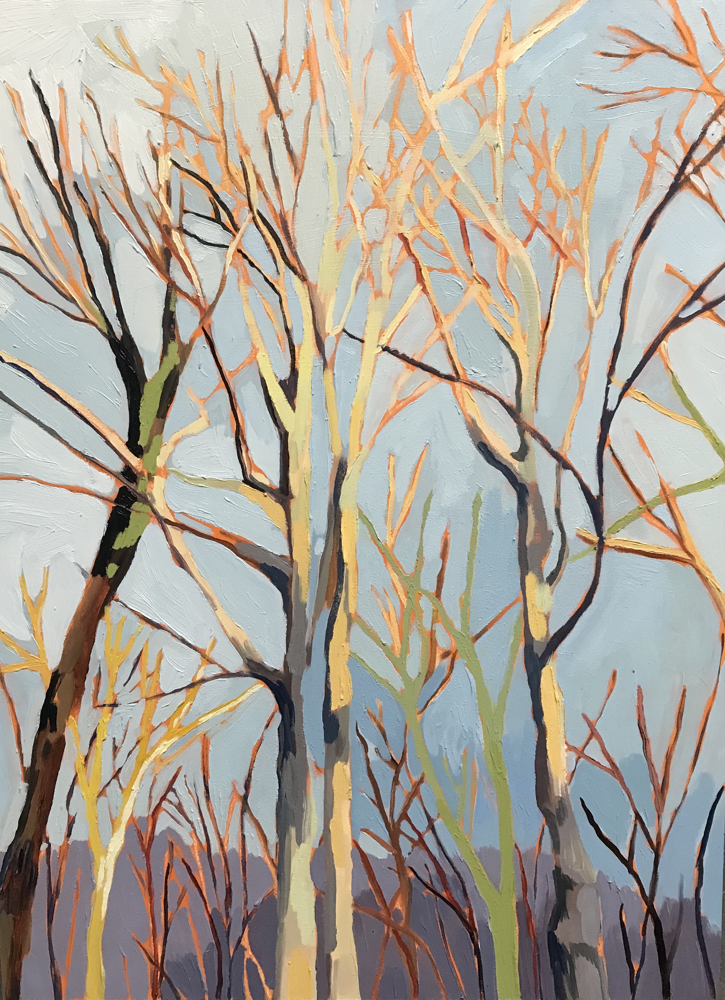 Manitoulin late afternoon Oil on panel. 18x24. 2019