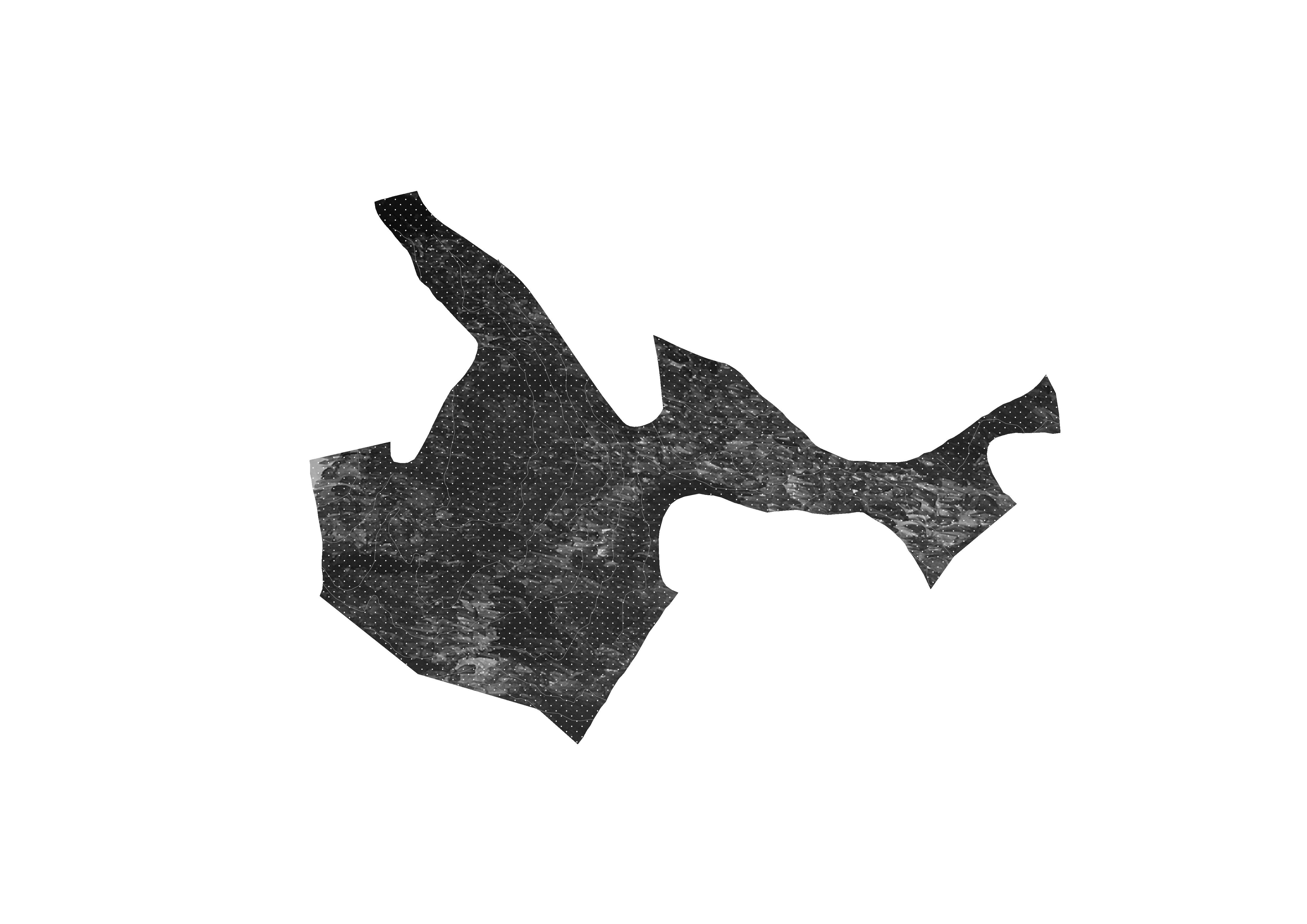 øsvm IV. flatehogst og naturvernskorridorer. 2020