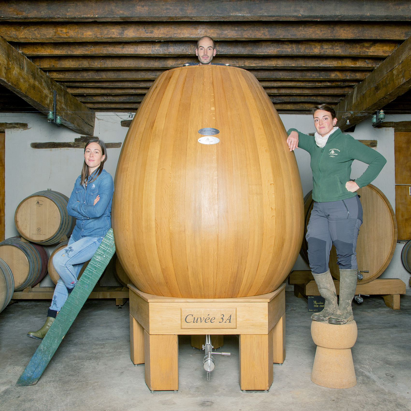 Champagne De Sousa, Télérama