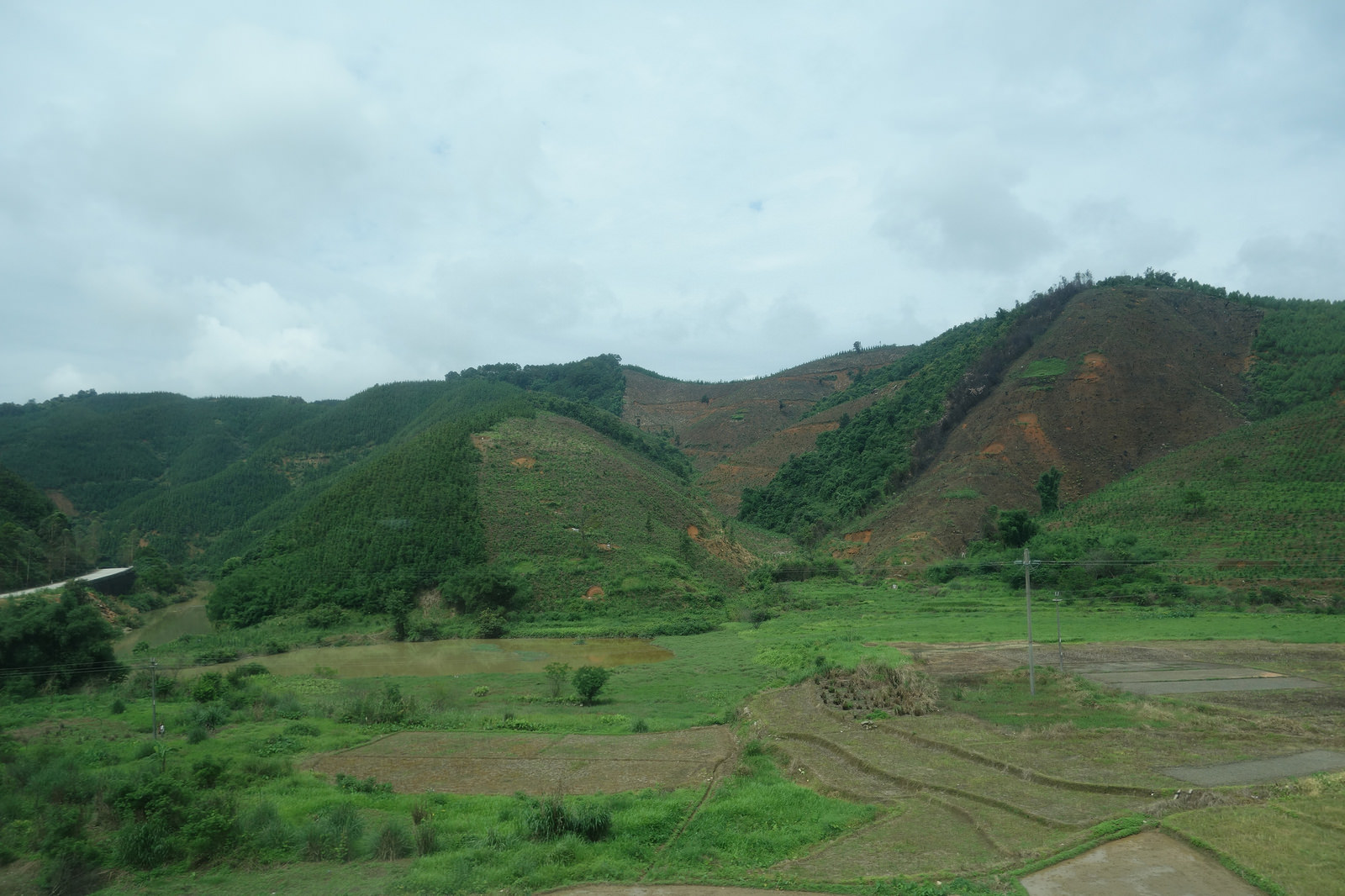 Rice paddies, Northern Guangdong, China