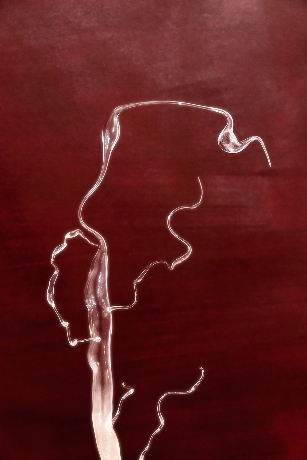 Detail from Cestum Veneris I (Cinturón de Venus I) made with Blown Glass, exhibited at Plataforma 2, Plaja Studio