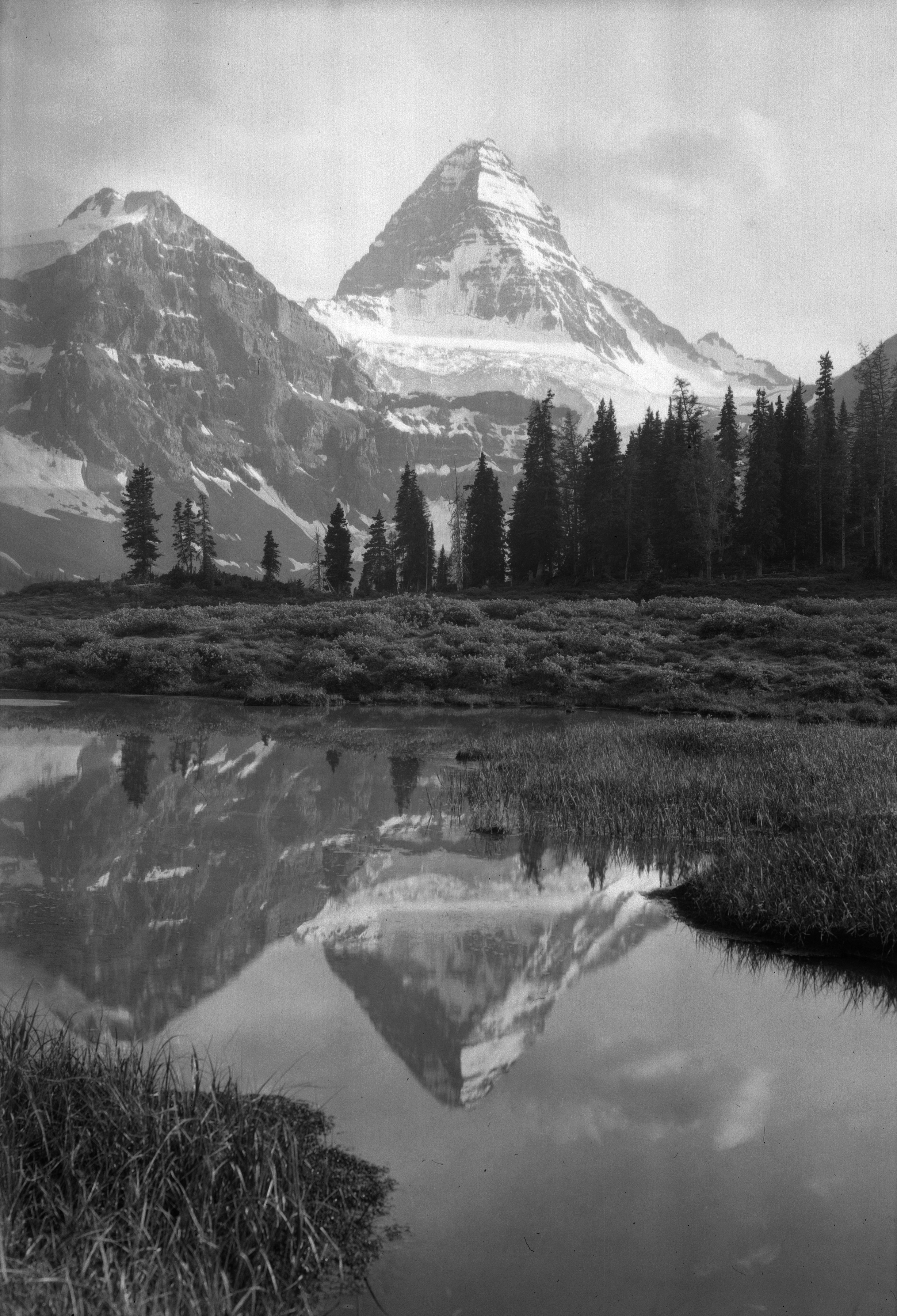 Mt.Assiniboine_1912_WhyteMuseumoftheCanadianRockies.jpg