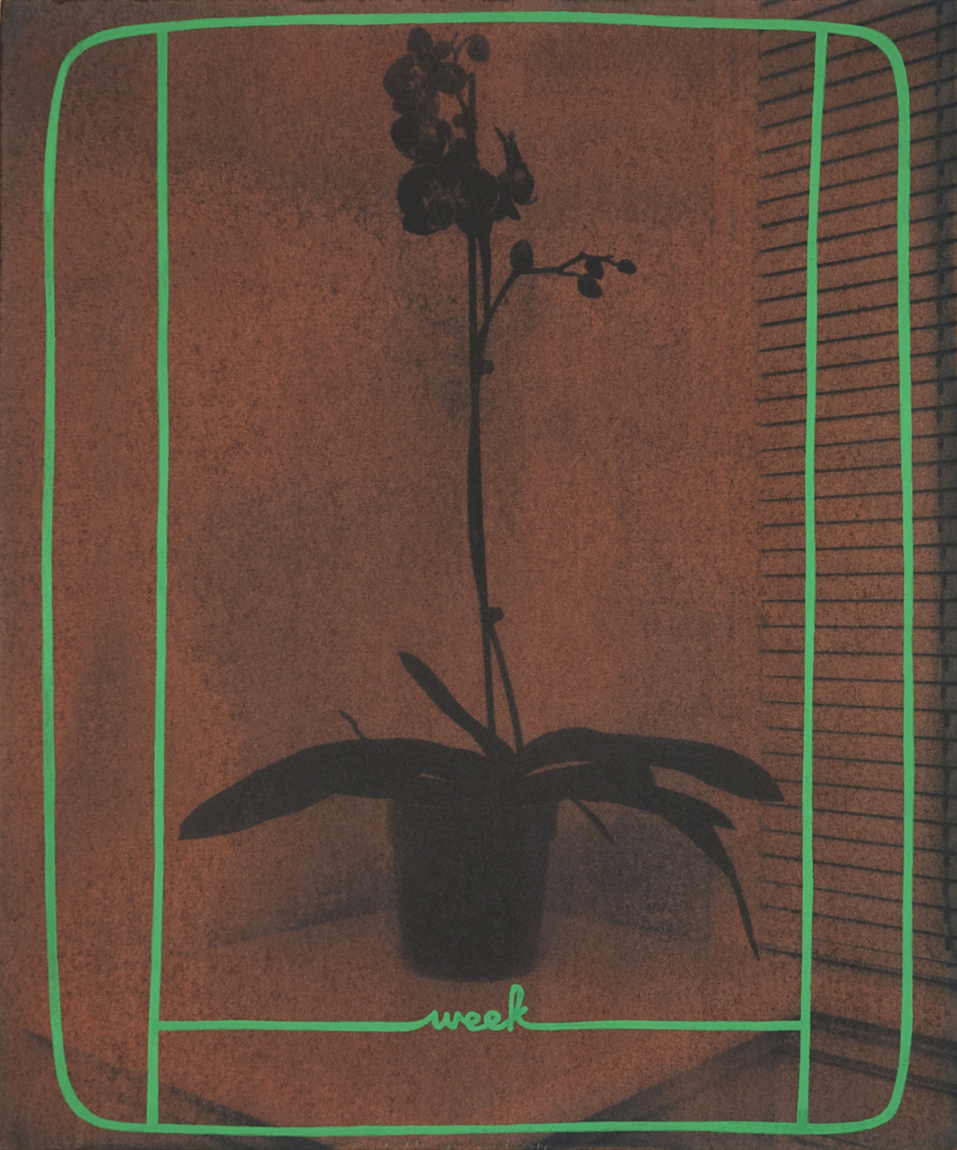 Untitled 2014, cyanotype, acrylic and gouache on paper, 30 x 25 cm