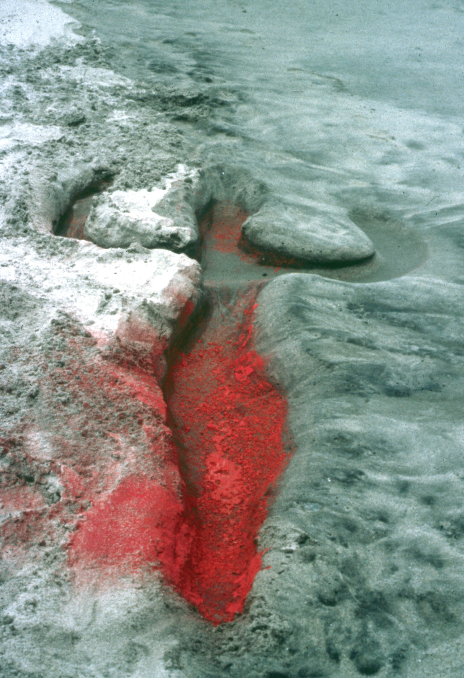 ref 24