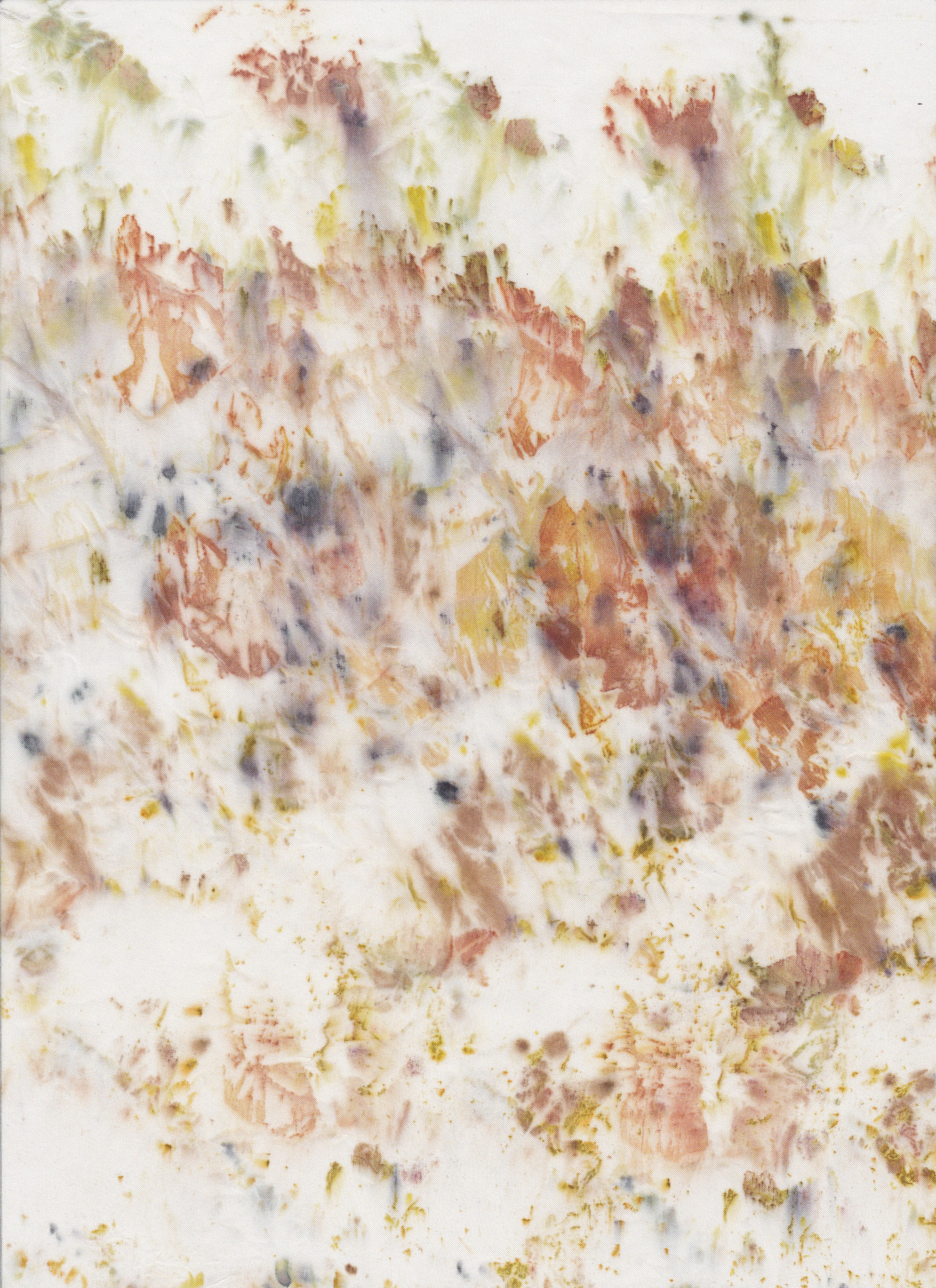 Sumac, onion, eucalyptus and goldenrod on silk. 2022.